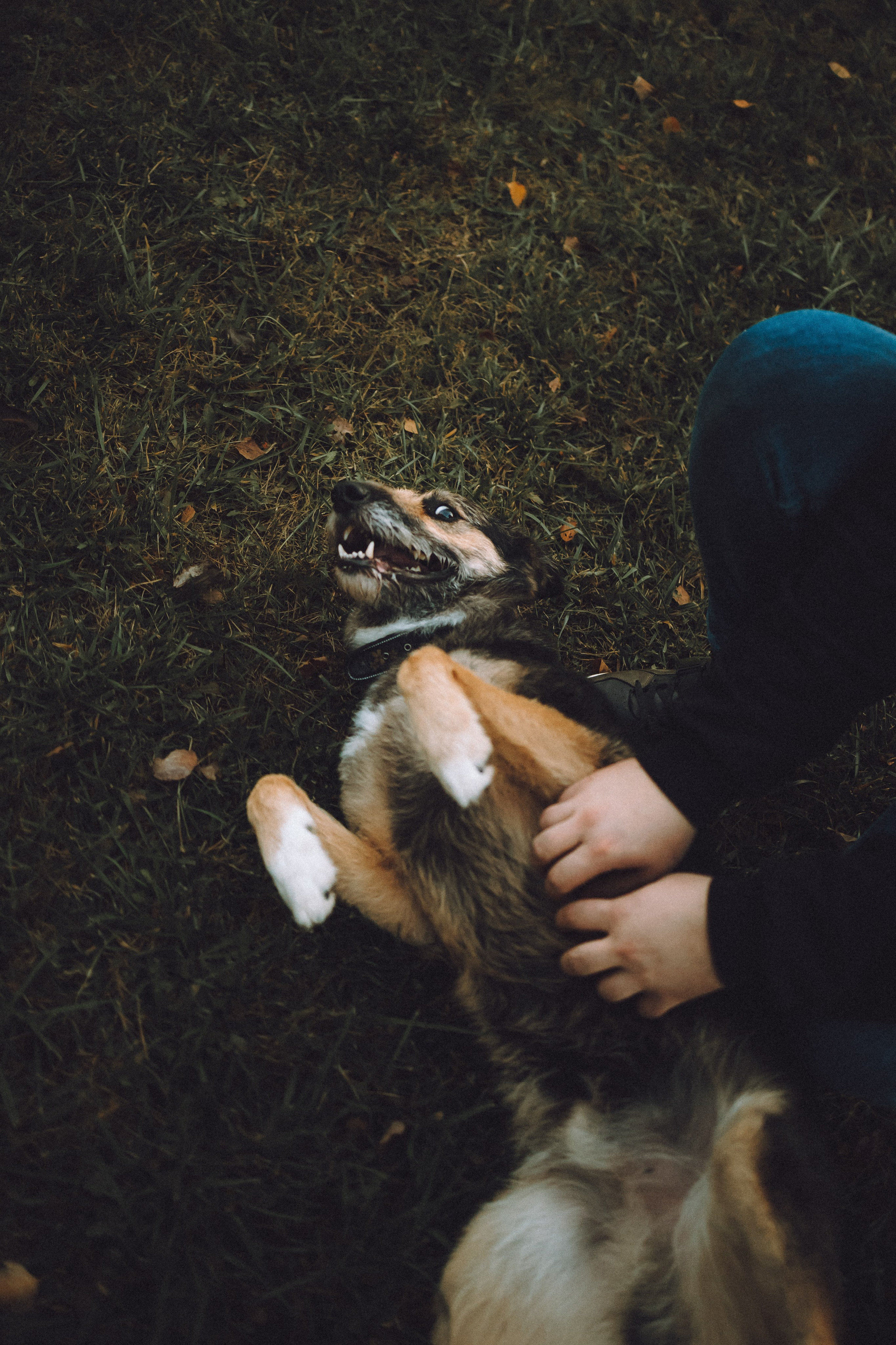 Рик, Джек и их семья