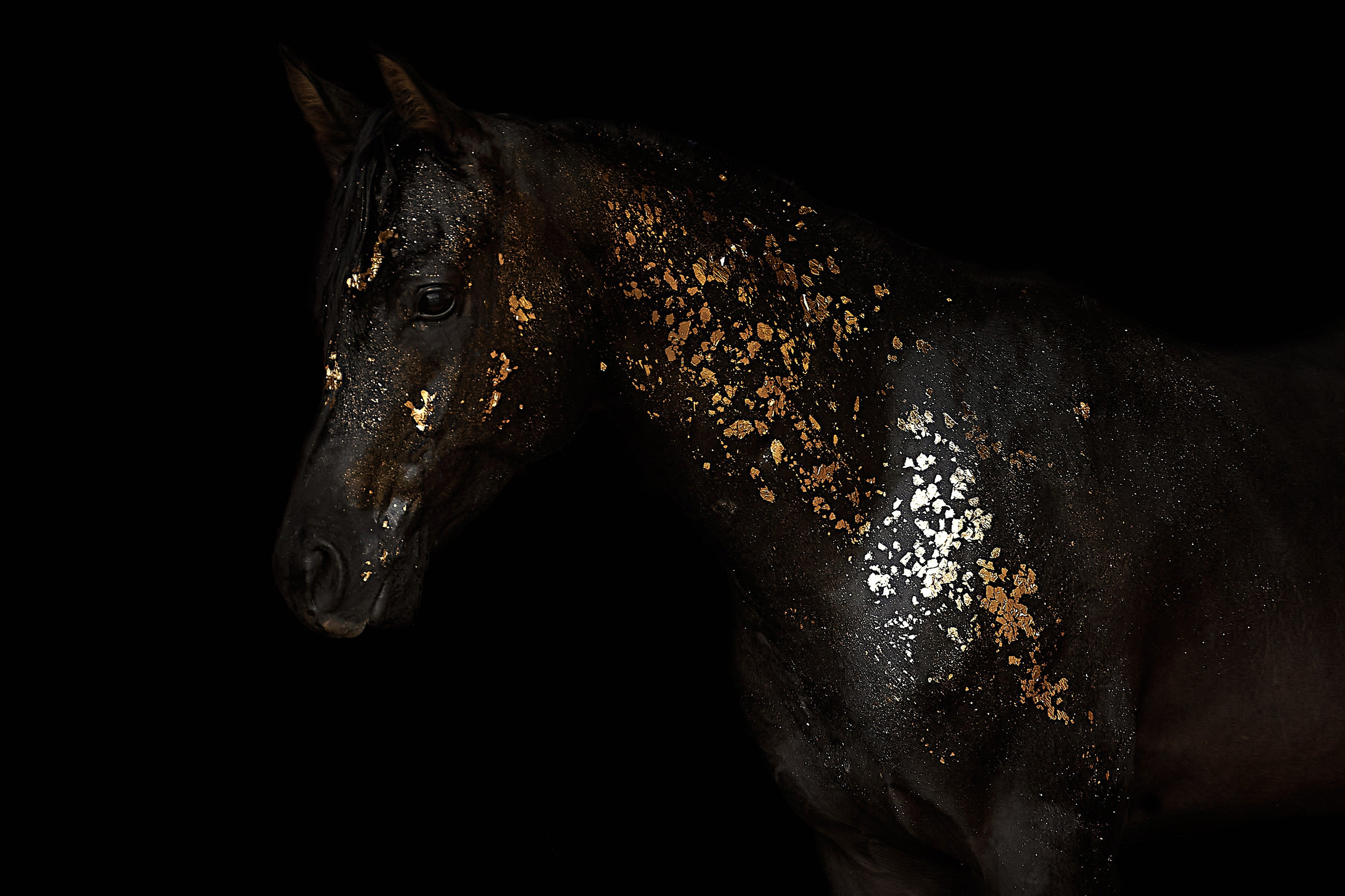 Харакс. Фотограф в Севастополе