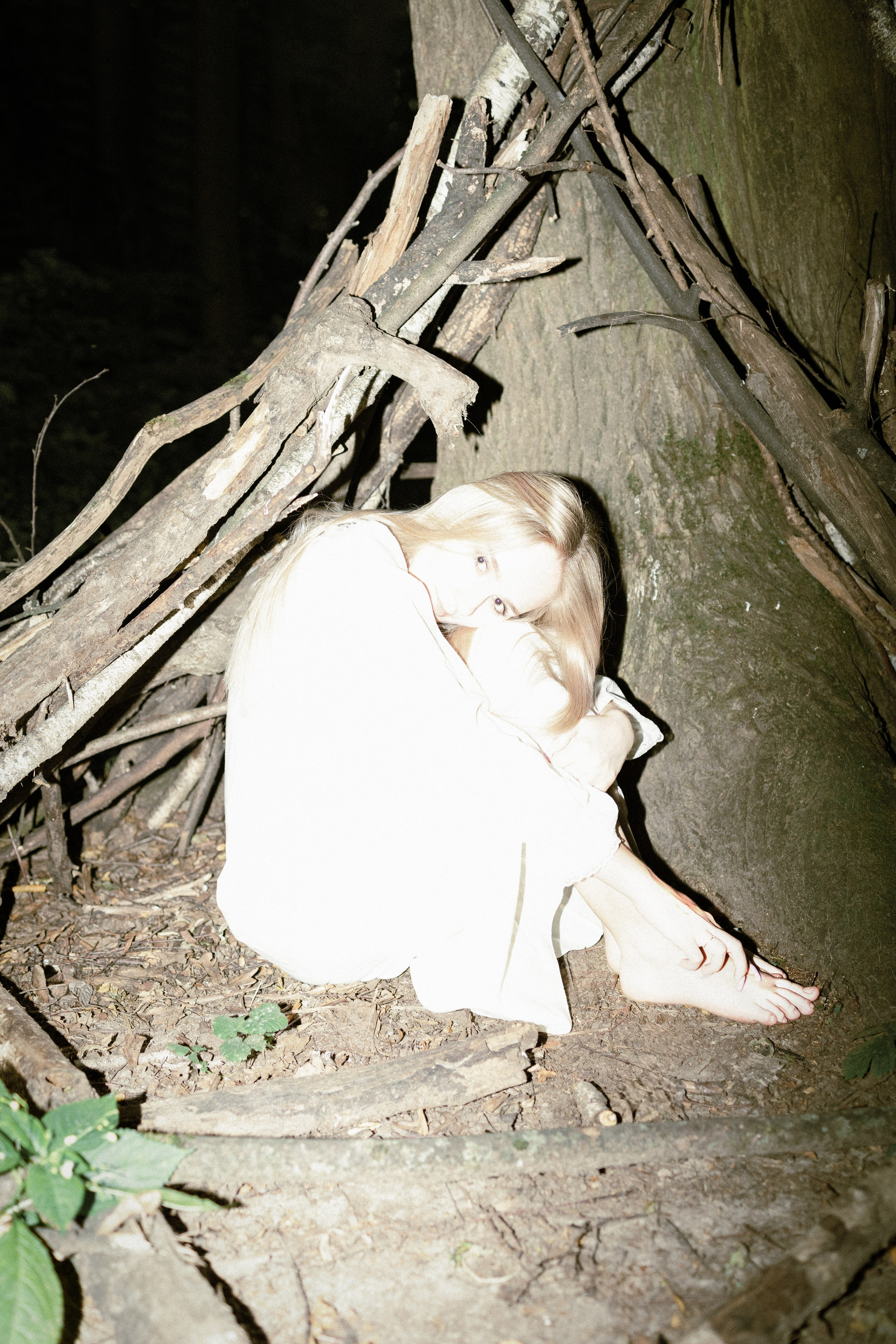 Woodland. Фото-художник