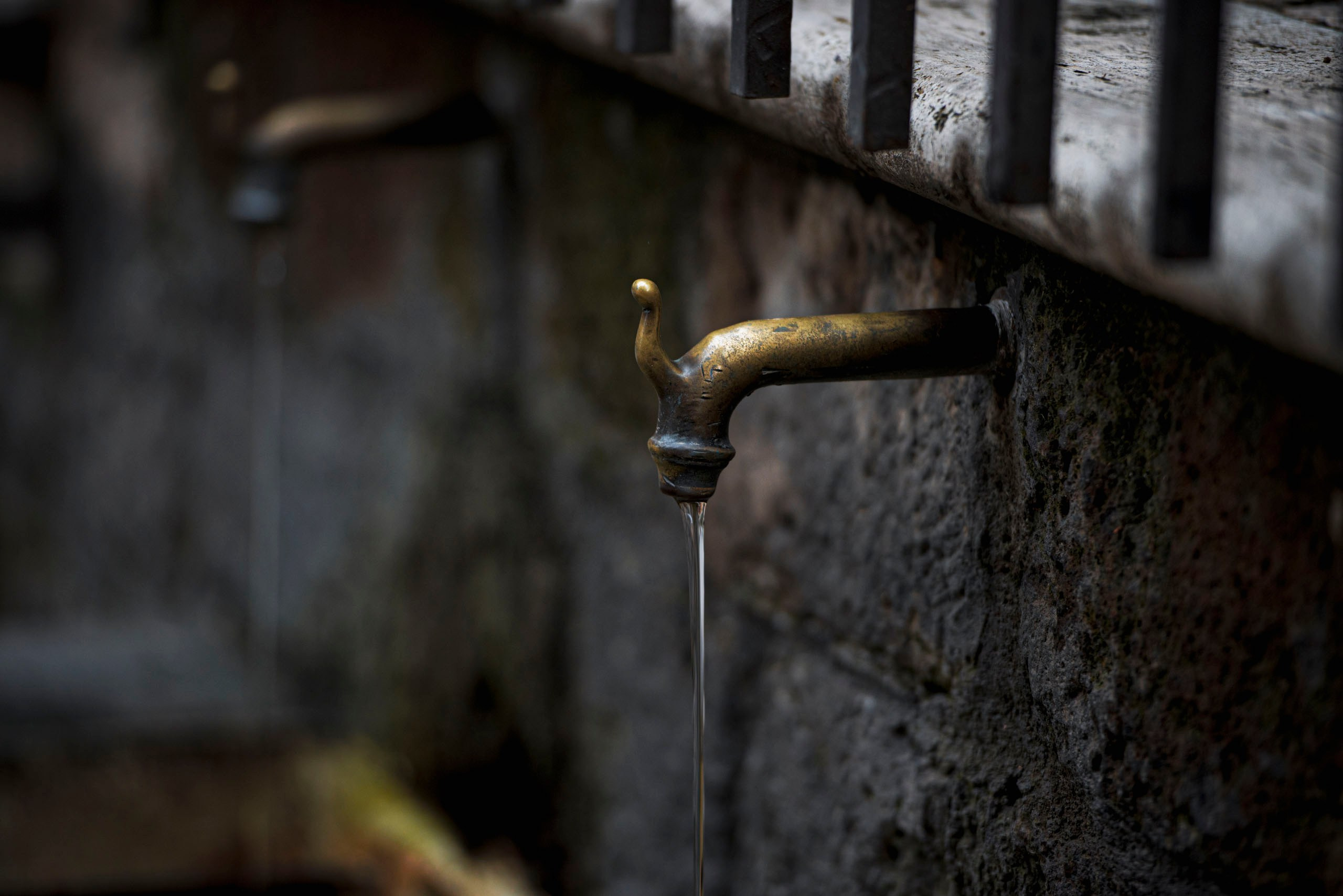 Фотографии для интерьера