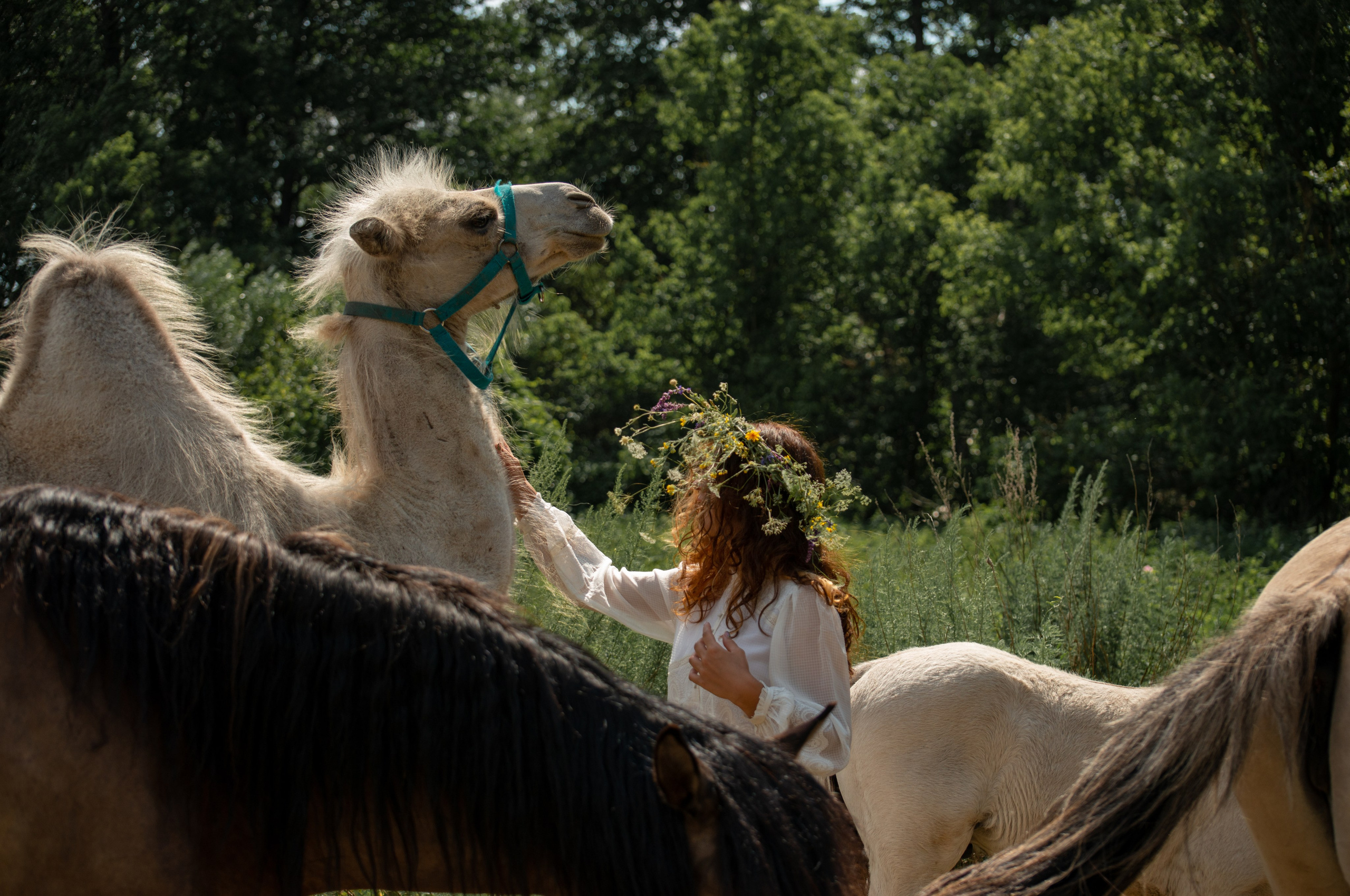 Купала в Родославном. Конный фотограф в Саратове Юлия Иванова
