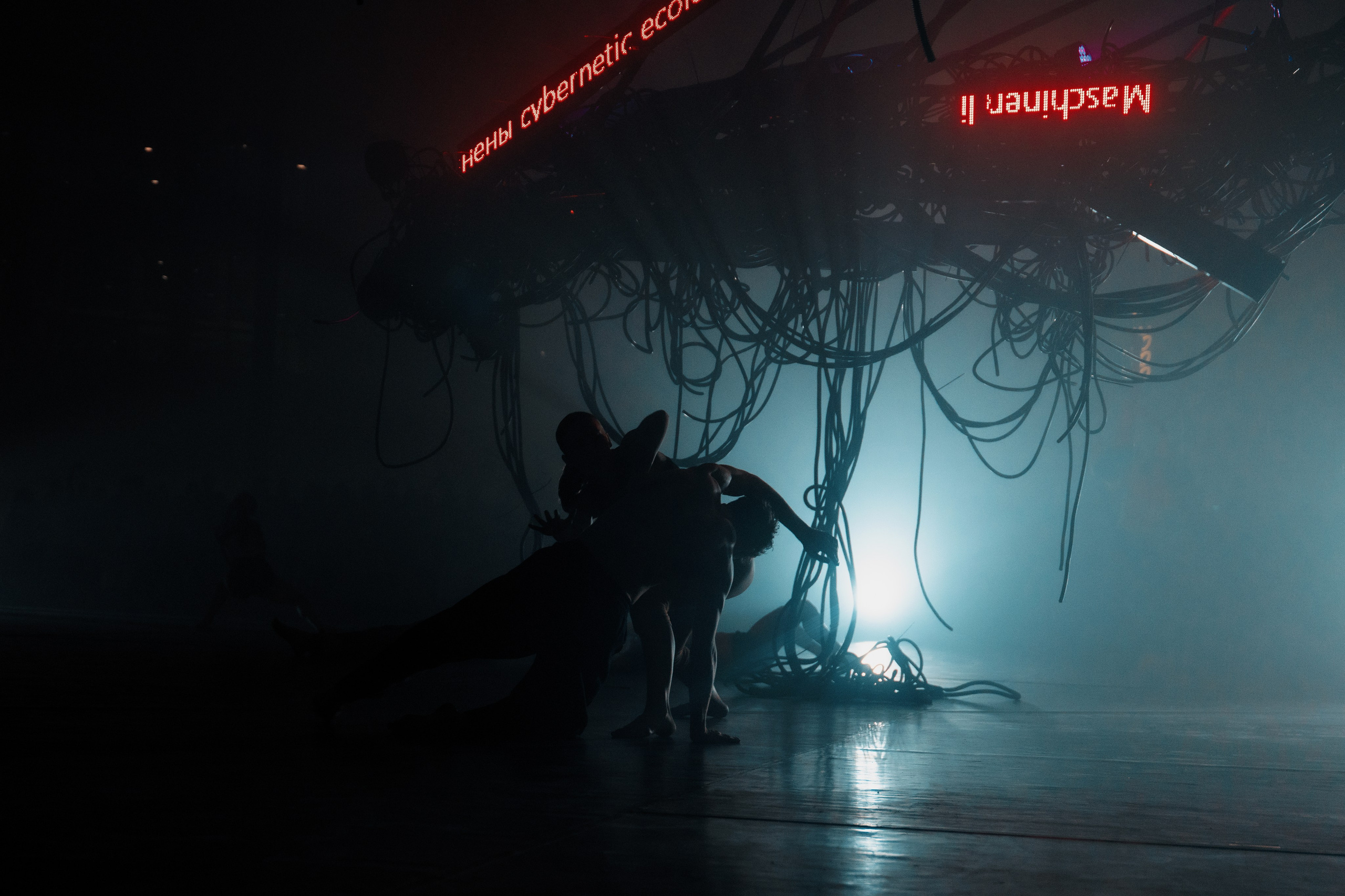 PERFORMA, The Hour of the Horse. @tomrus: Рустам Шагиморданов — фотограф