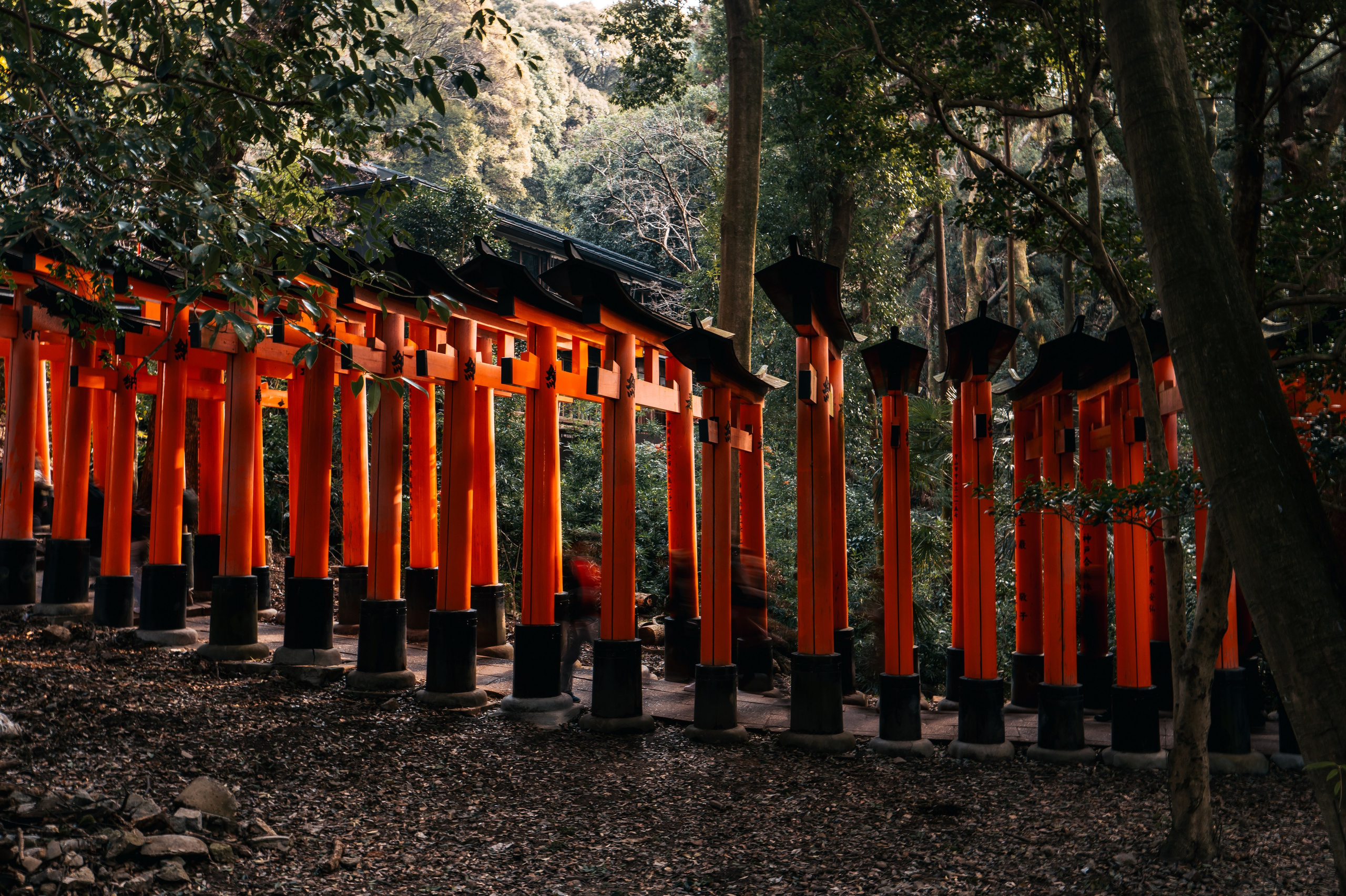 Japan/Япония. @tomrus: Рустам Шагиморданов — фотограф