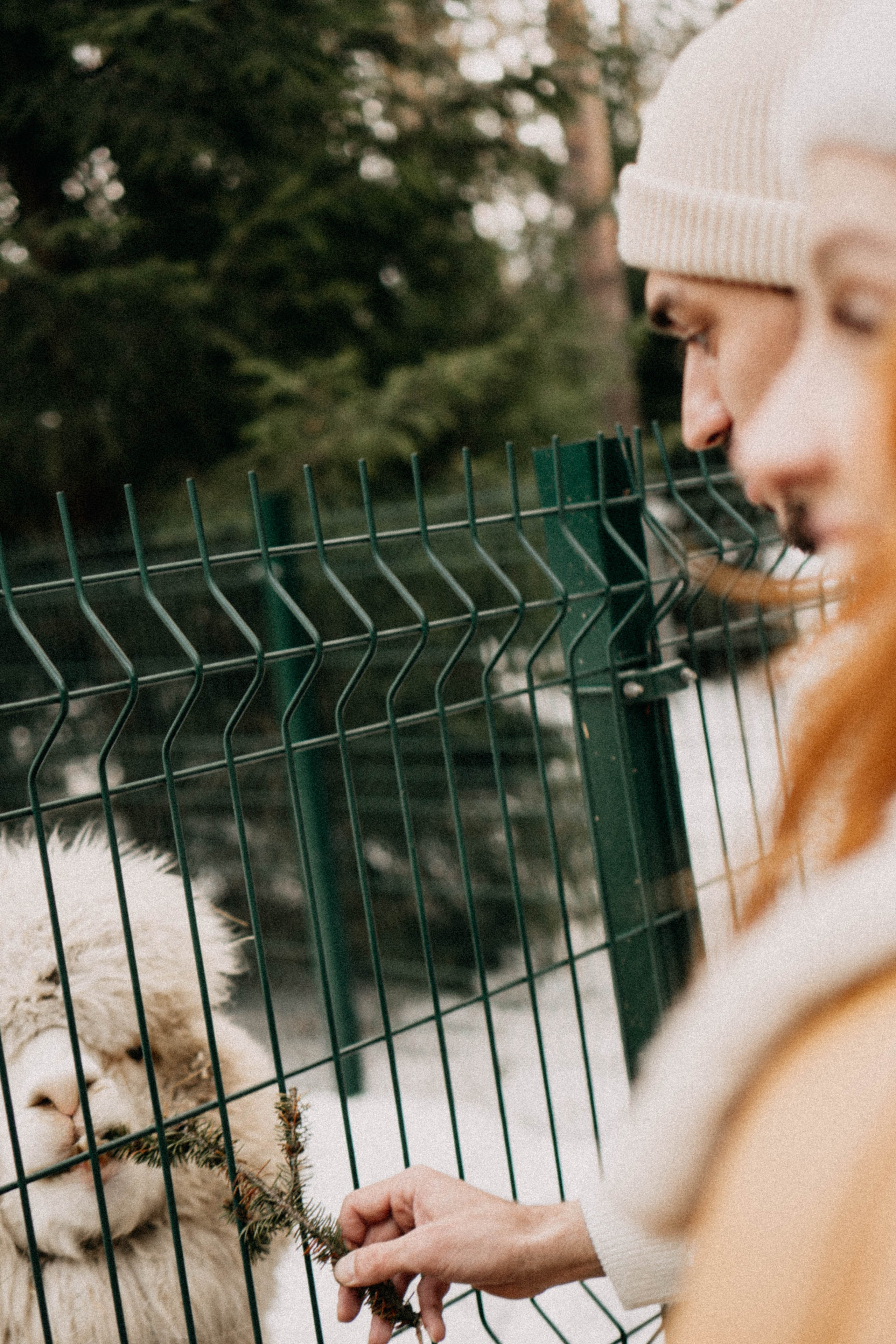 Каток. Профессиональный фотограф, Санкт-Петербург — Виктория Богомолова
