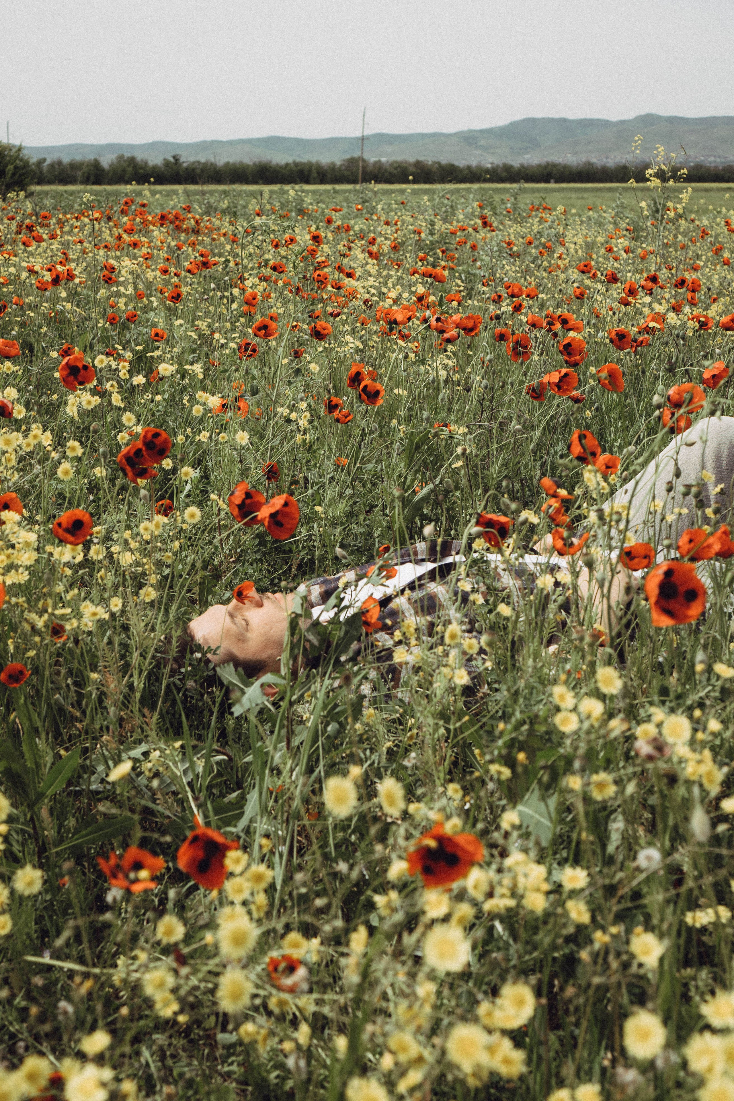 Маки. Профессиональный фотограф, Санкт-Петербург — Виктория Богомолова