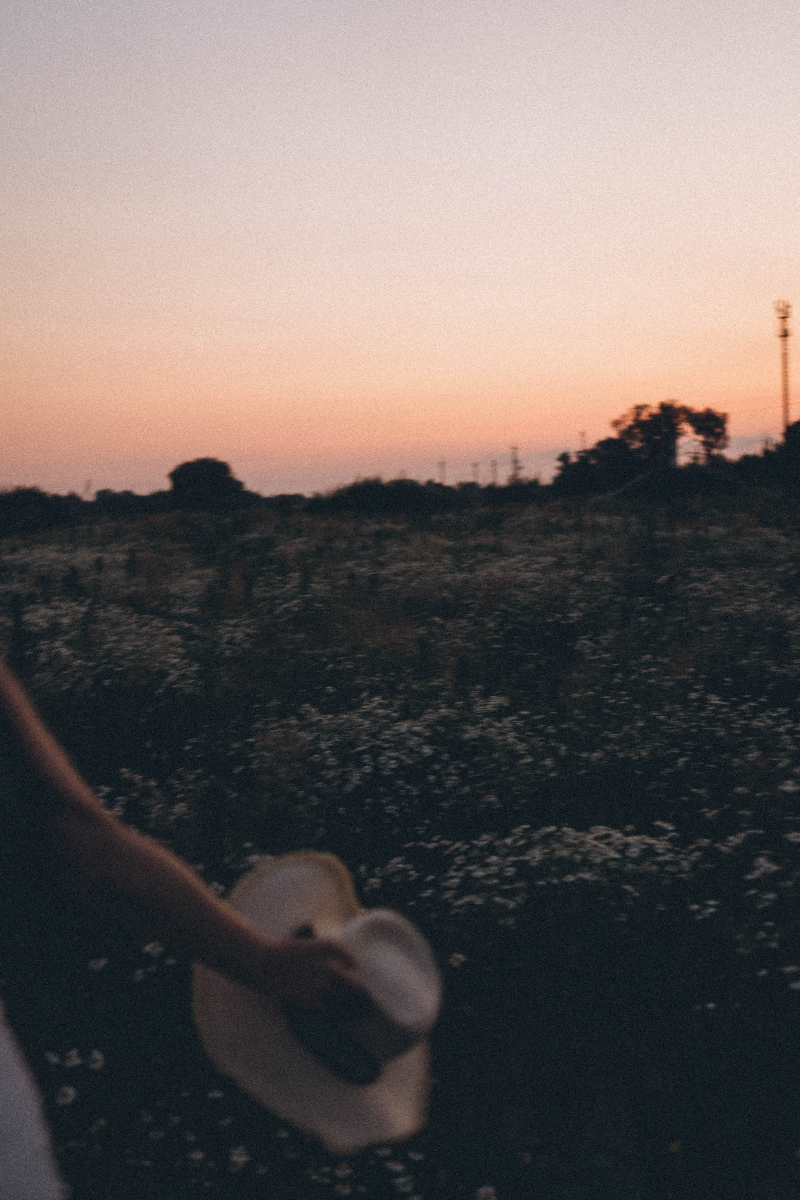 Ромашковое поле. Профессиональный фотограф, Санкт-Петербург — Виктория Богомолова