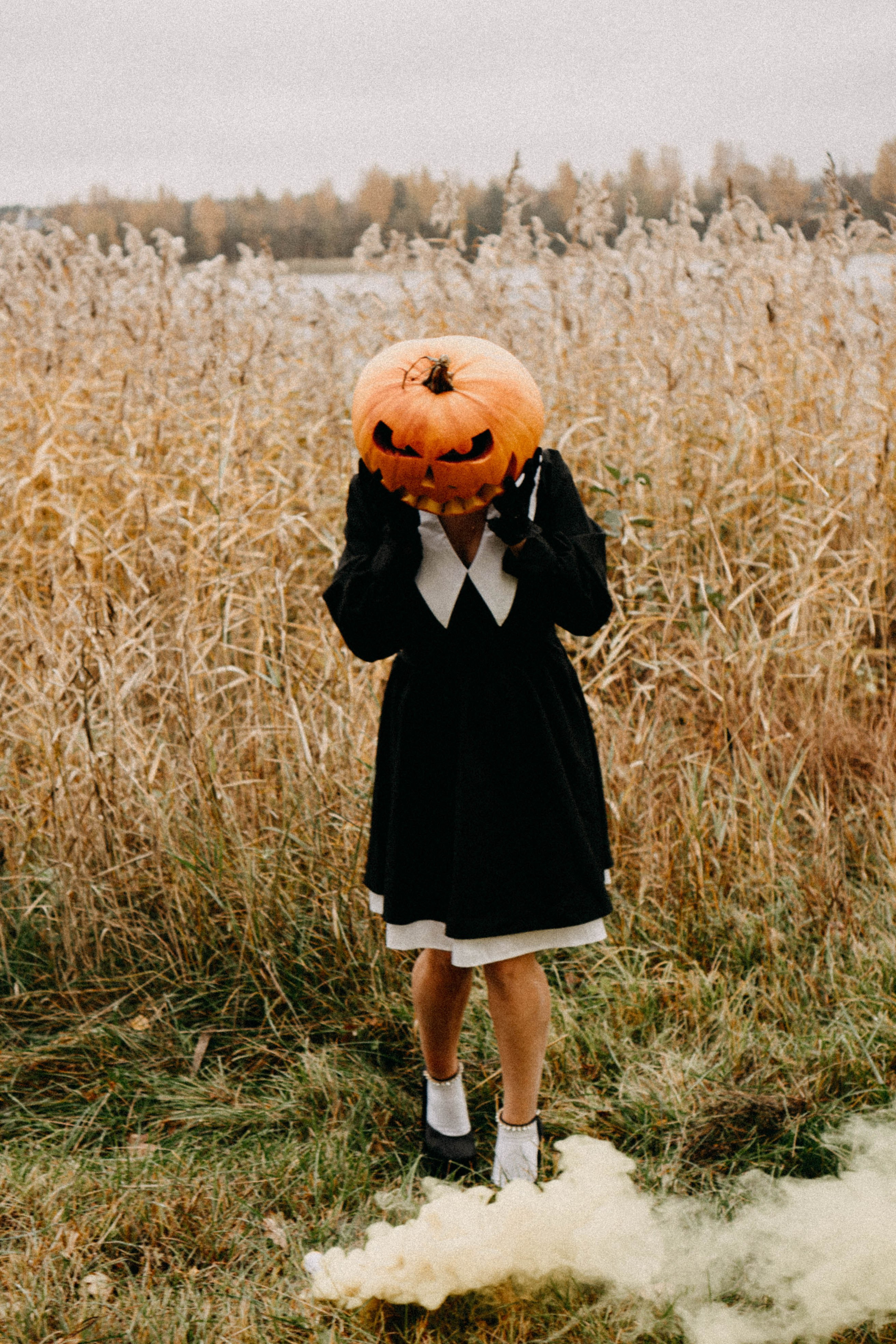 Осеняя. Профессиональный фотограф, Санкт-Петербург — Виктория Богомолова