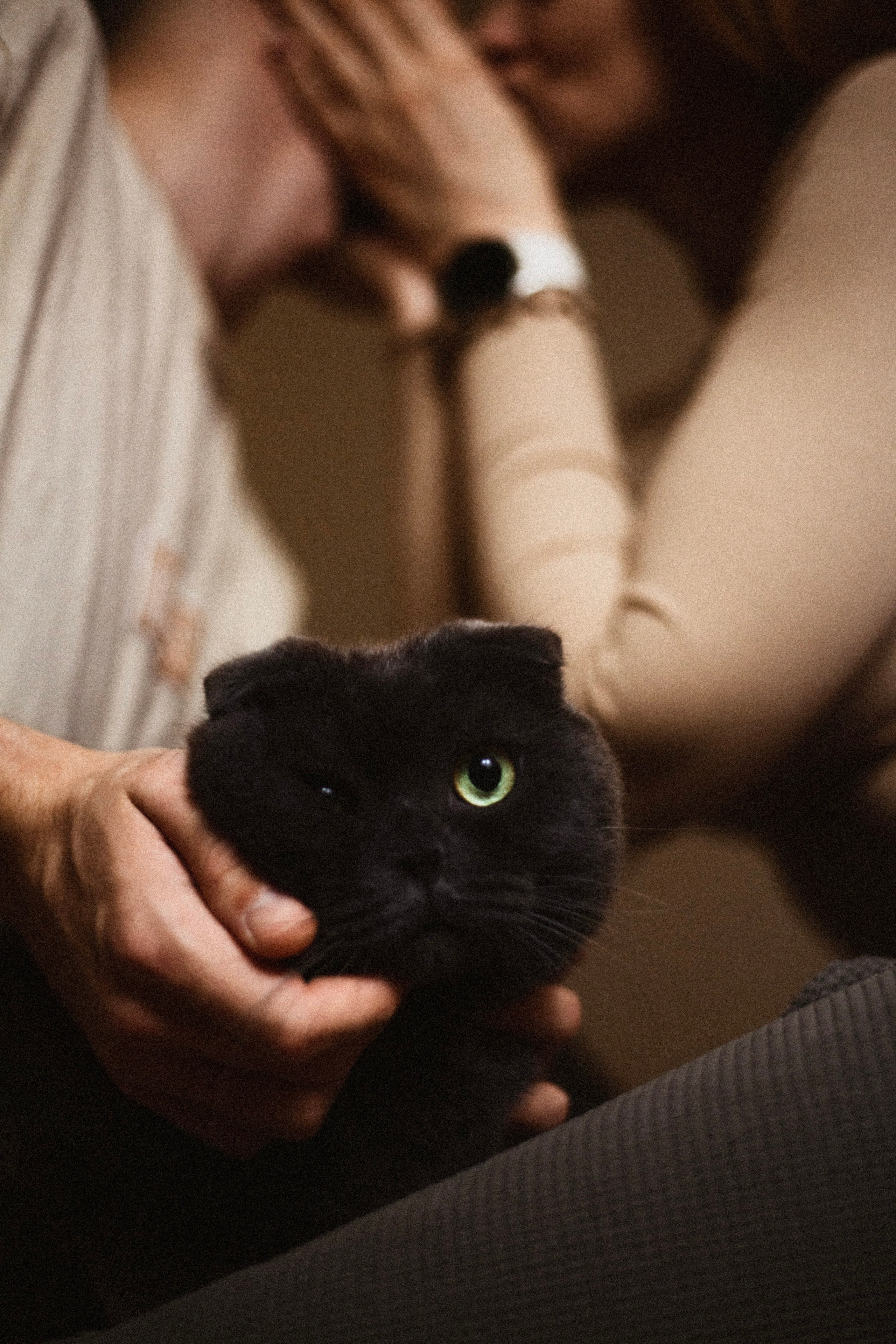 Love story. Коммерческий и индивидуальный фотограф в Ростове-на-Дону