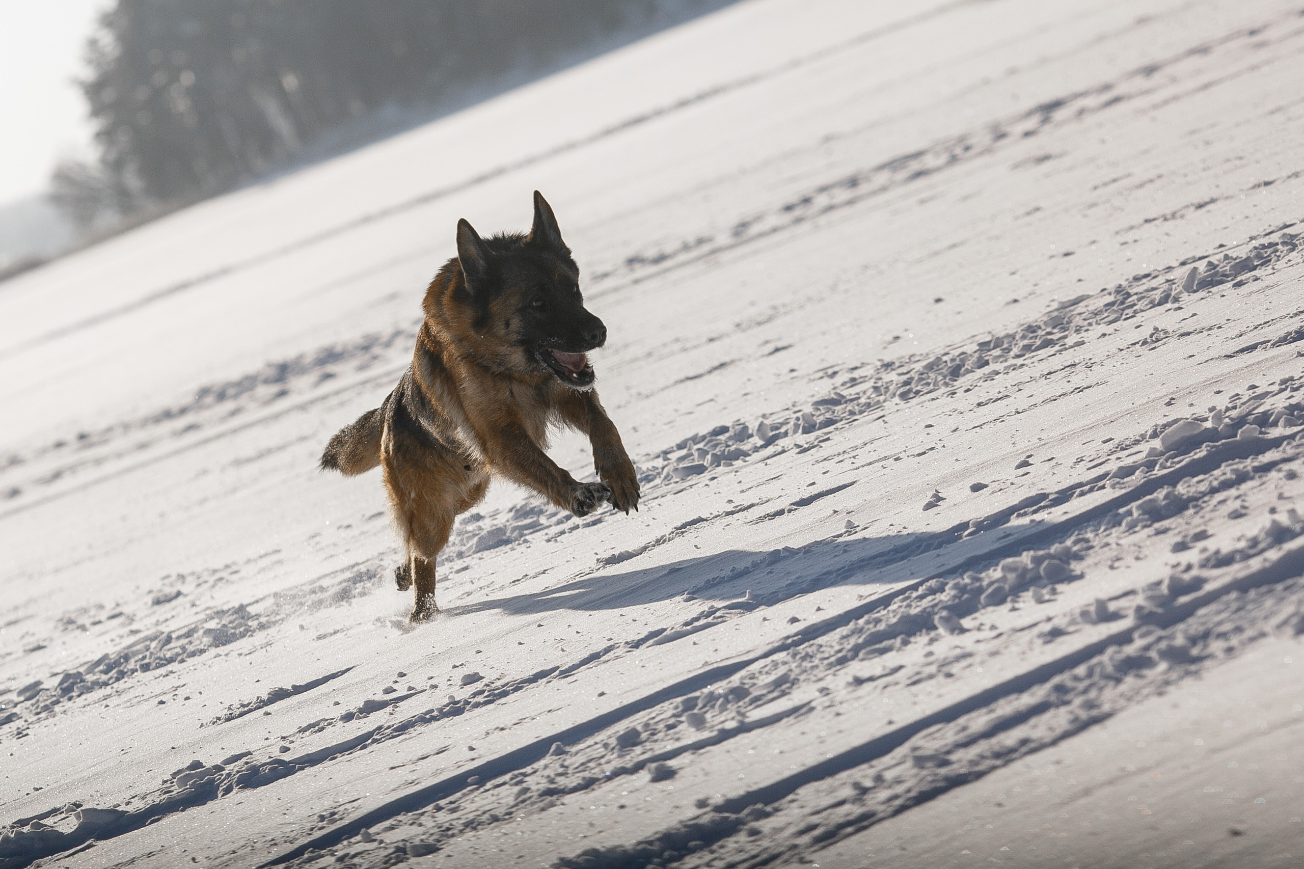 Репортажный фотограф Борис Геер