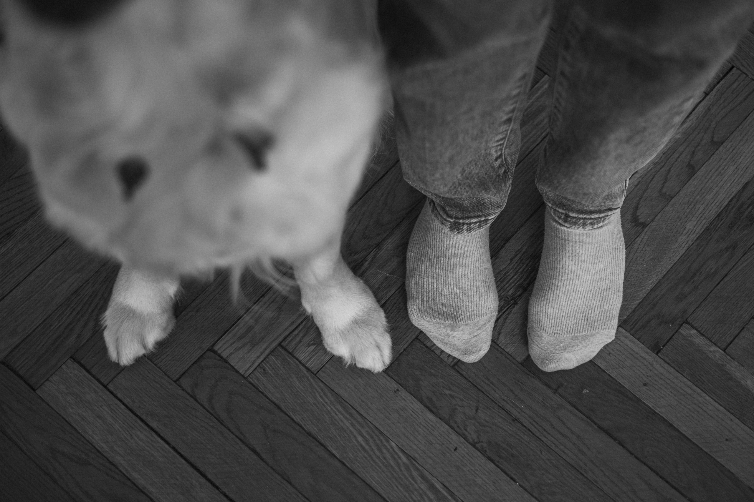 Марина и Чили. Фотограф — Анималист | Санкт-Петербург