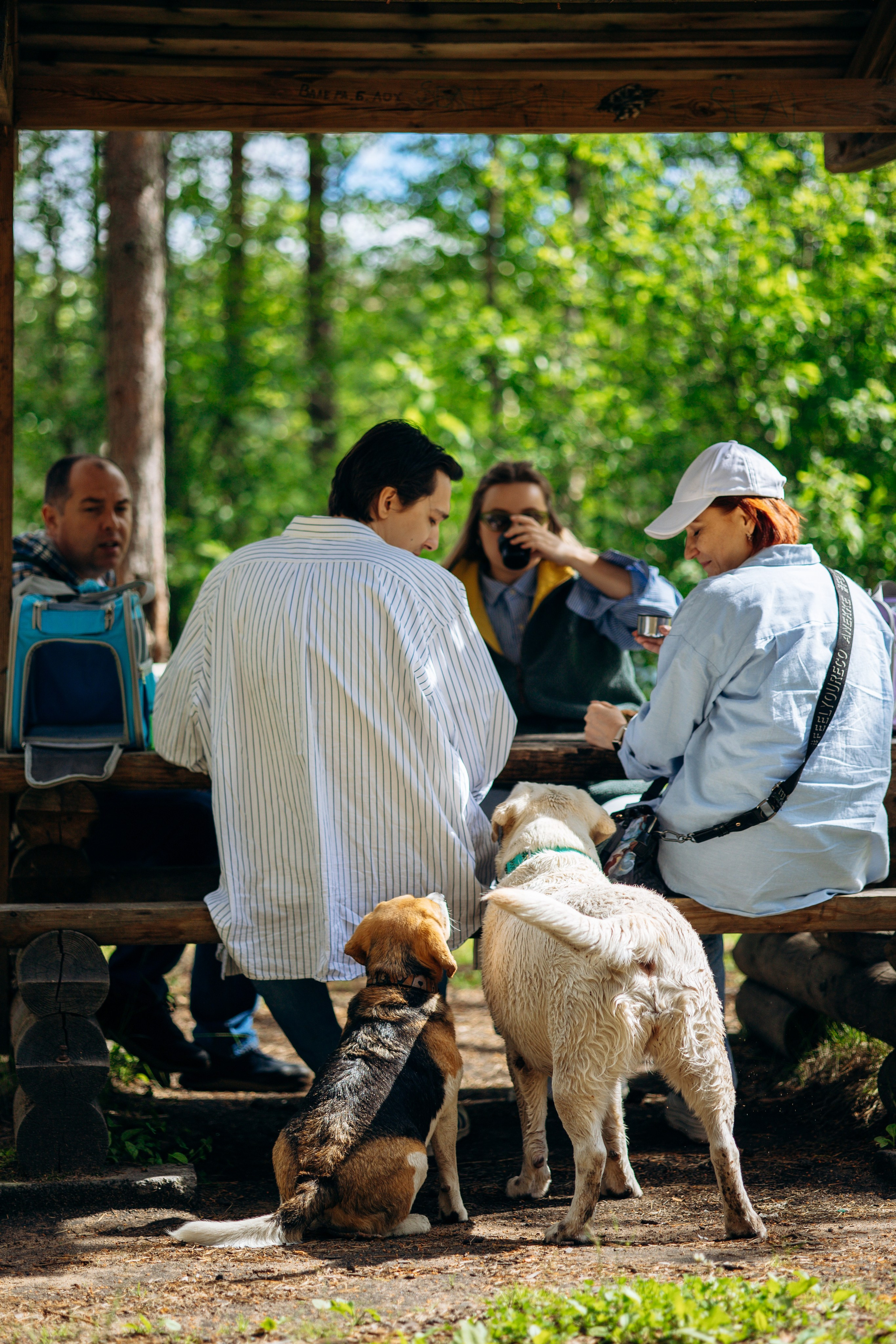 Котофеи и их семья. Фотограф — Анималист | Санкт-Петербург