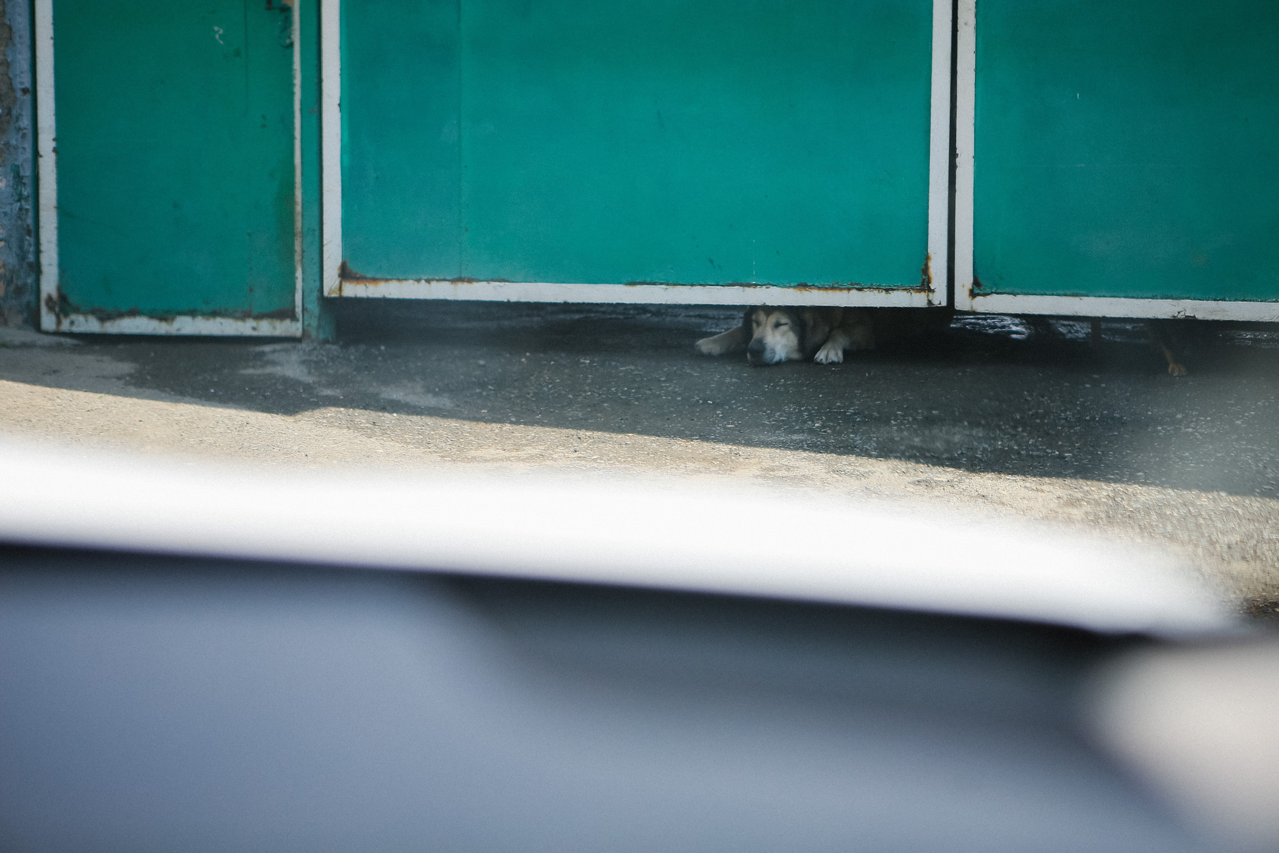 Пресс-тур для Неизвестного Кавказа. Свадебный и портретный фотограф в Пятигорске, КМВ — Власова Юля