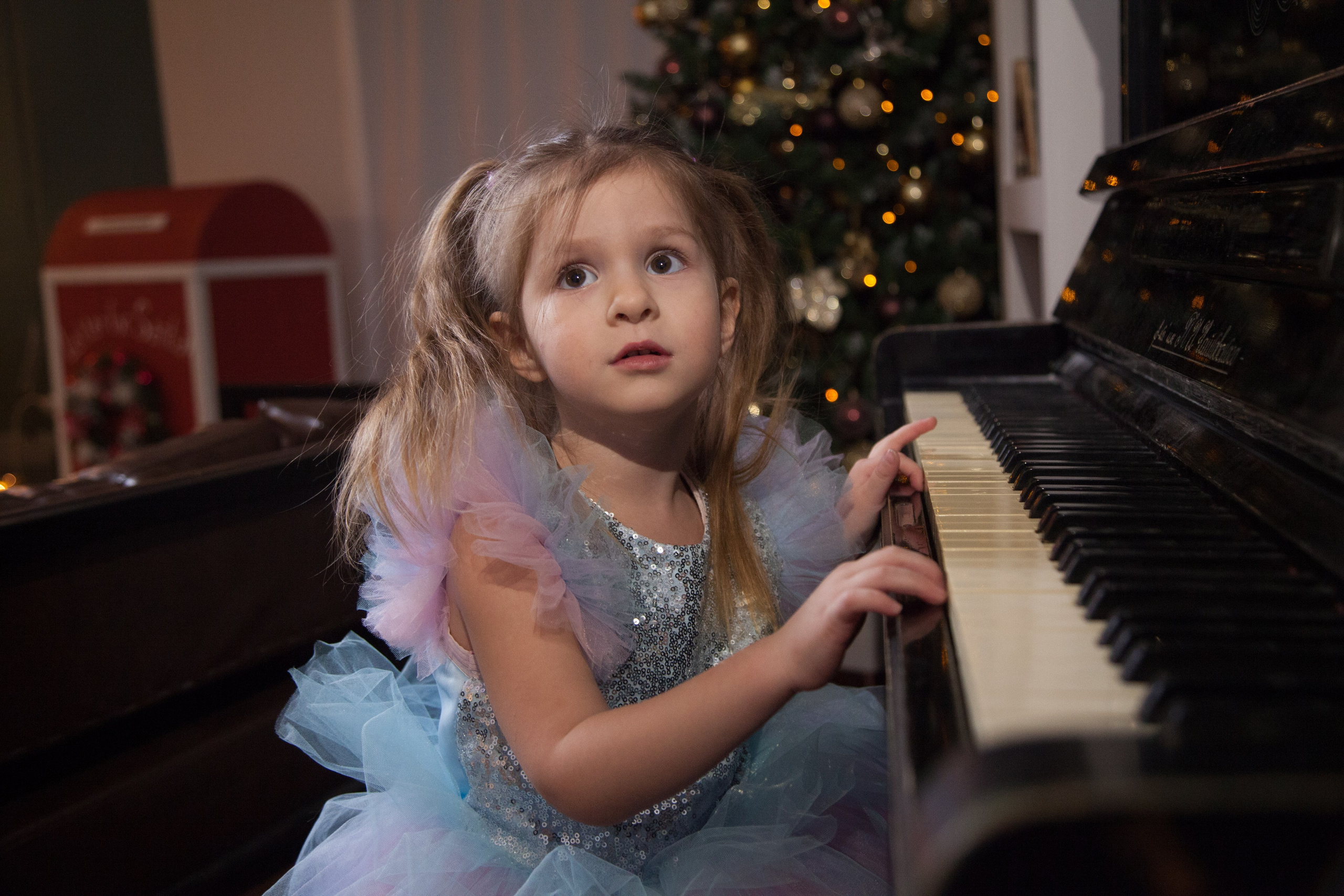 Новый год. Портретный фотограф Парфенова Любовь