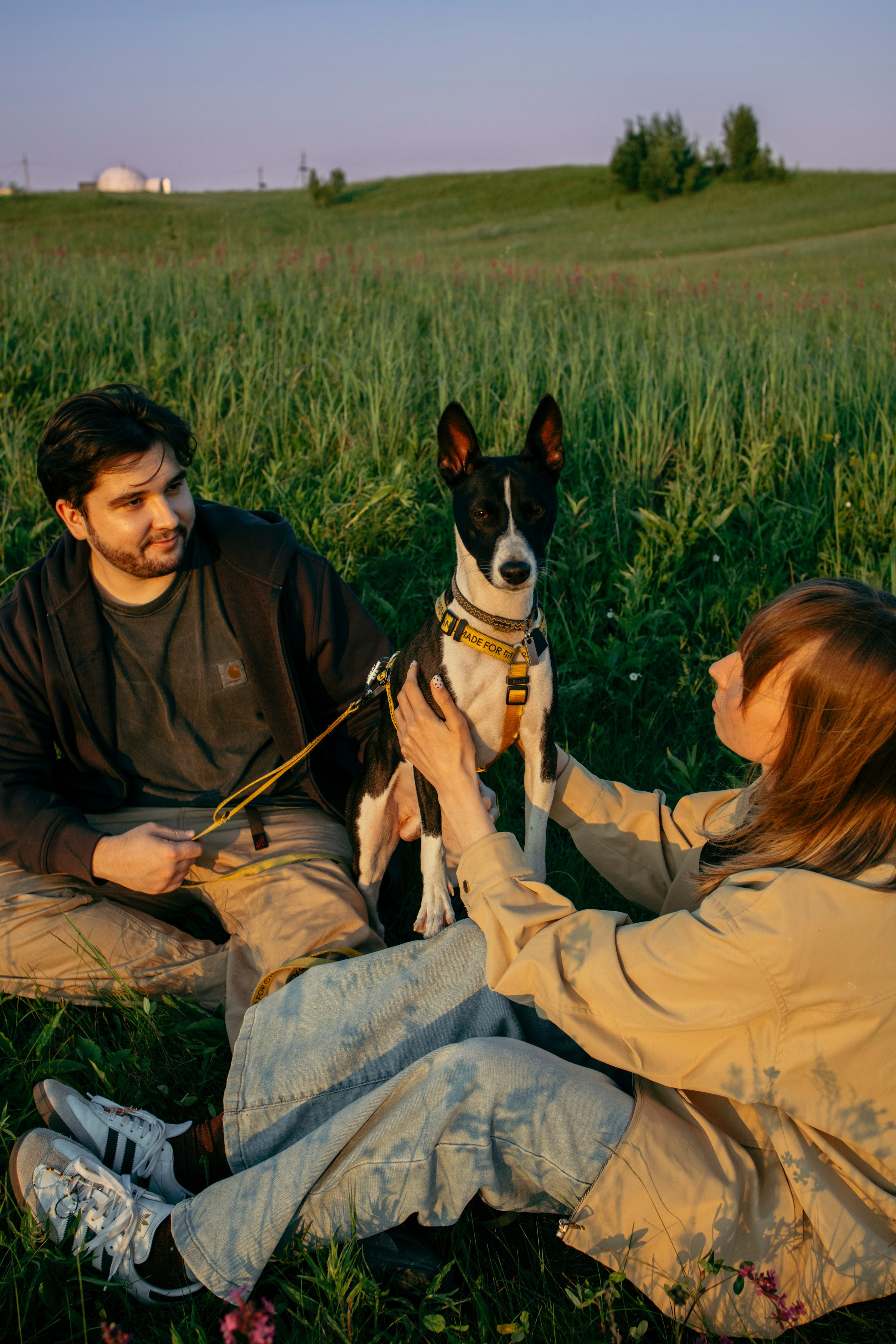 Итачи и его семья 🐾. Фотограф-анималист в Санкт-Петеребурге Титова Алиса