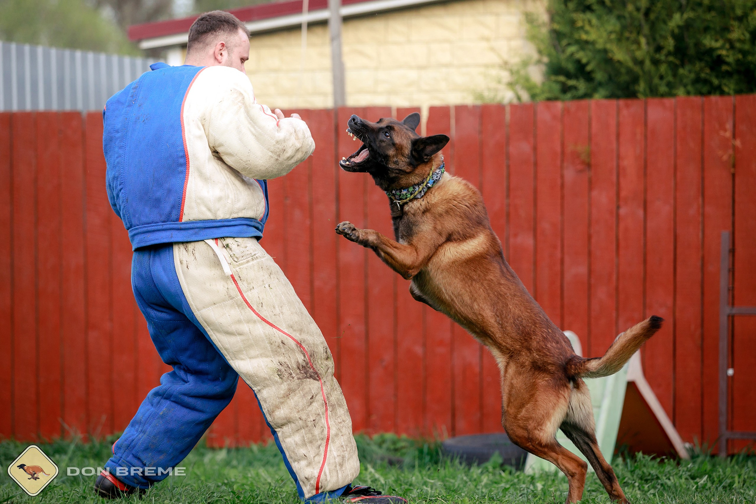 Семинар для фигурантов, день 2. Фотограф-анималист Mary Mart — Москва, Питер