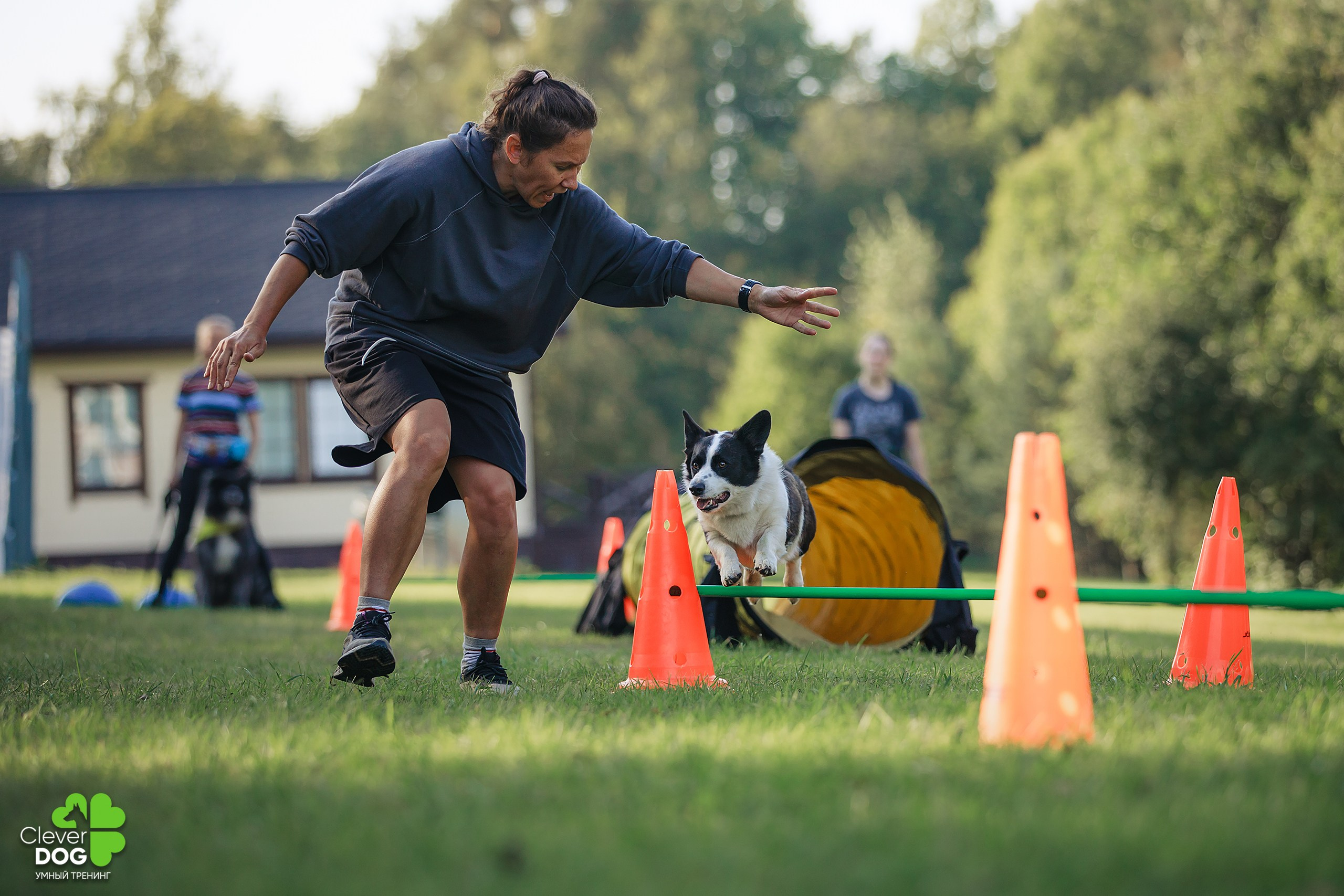 Кинологический лагерь CleverDog, 2024. Фотограф-анималист Mary Mart — Москва, Питер