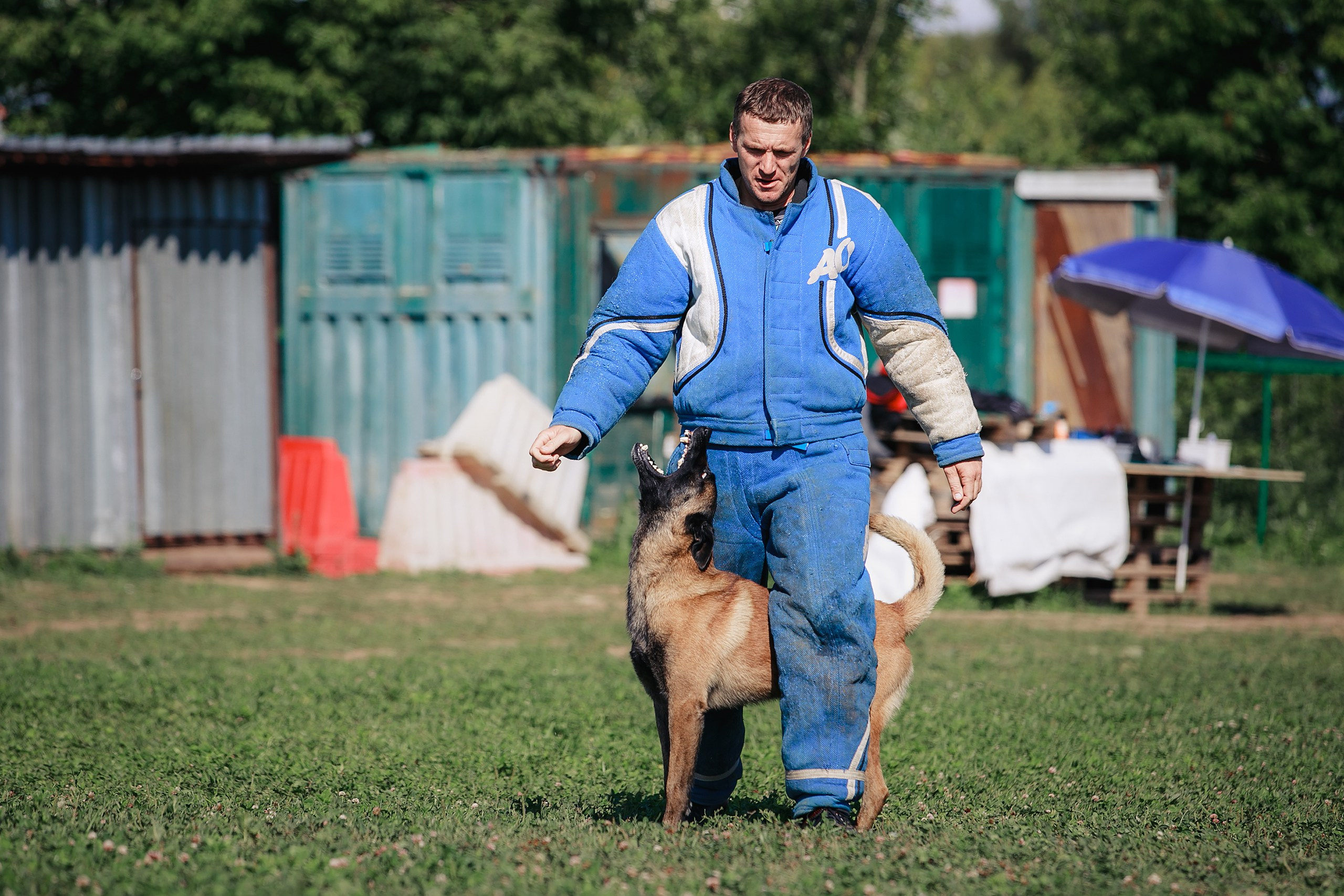 Мондьоринг М1, М2, М3, Вологда. Фотограф-анималист Mary Mart — Москва, Питер