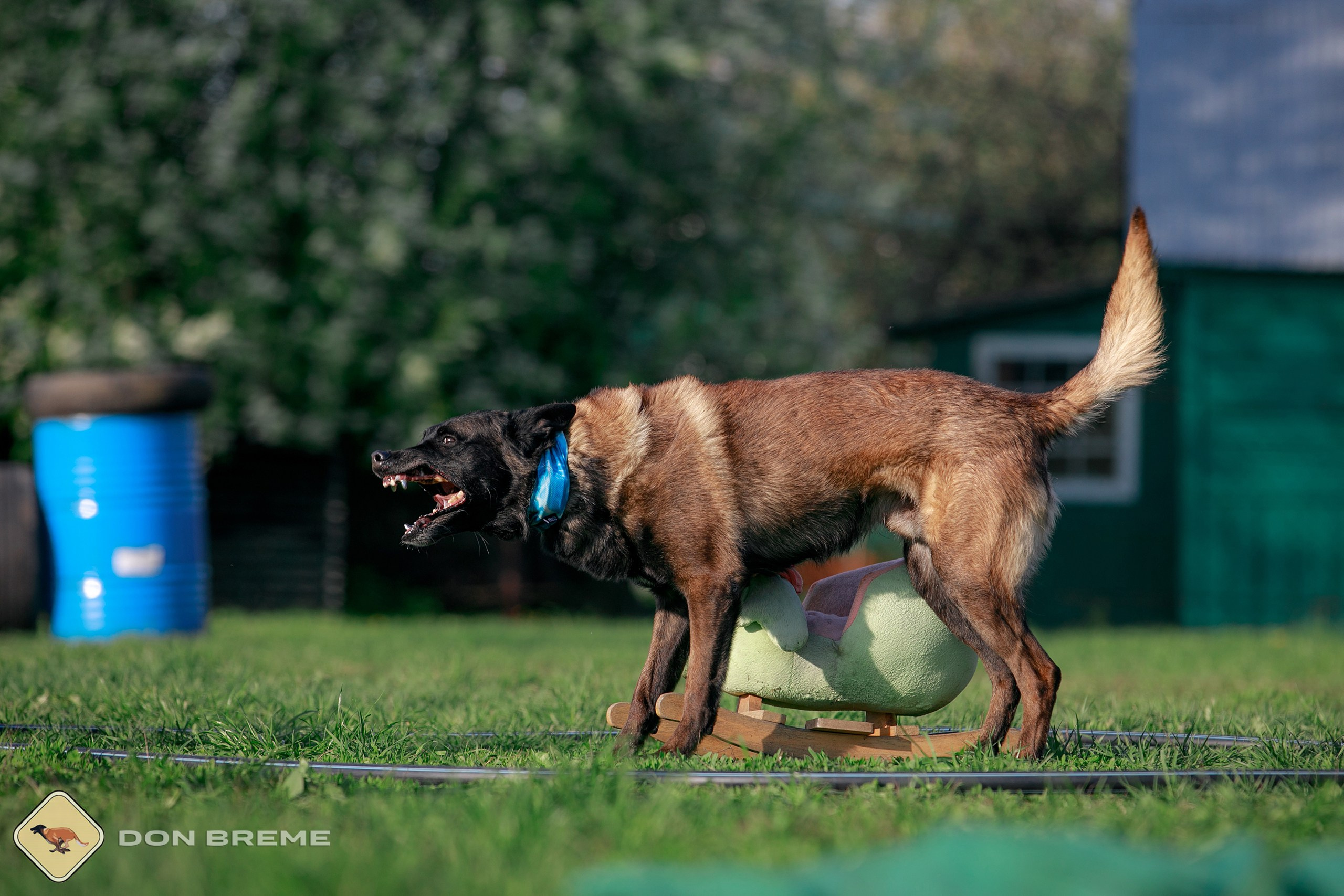 Семинар для фигурантов, день 4. Фотограф-анималист Mary Mart — Москва, Питер