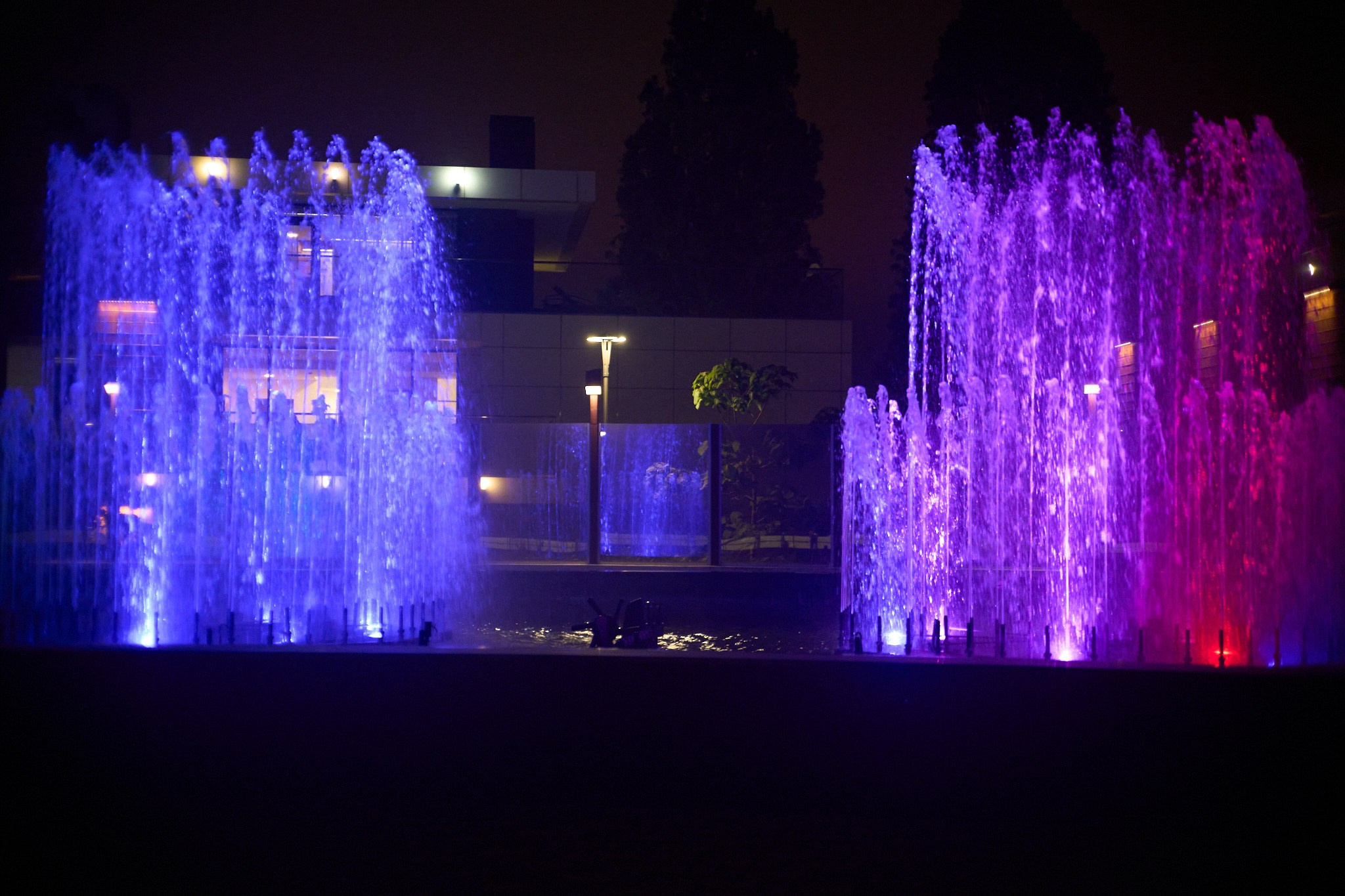 Красная Поляна, апрель 2024. Фотограф, Римма Невинская