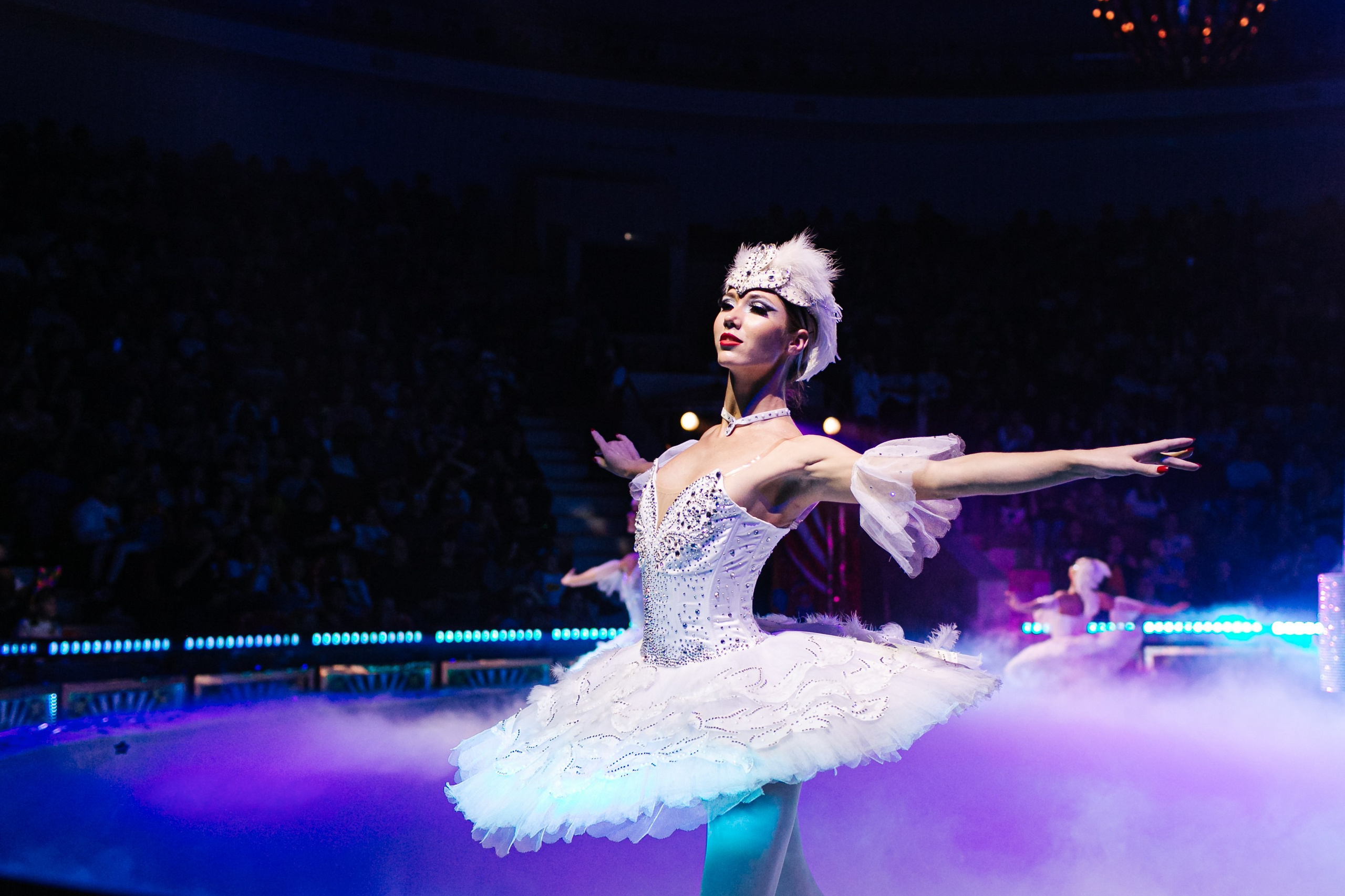 «Королевский цирк Гии Эрадзе» премьера и конференция. Команда фотографов