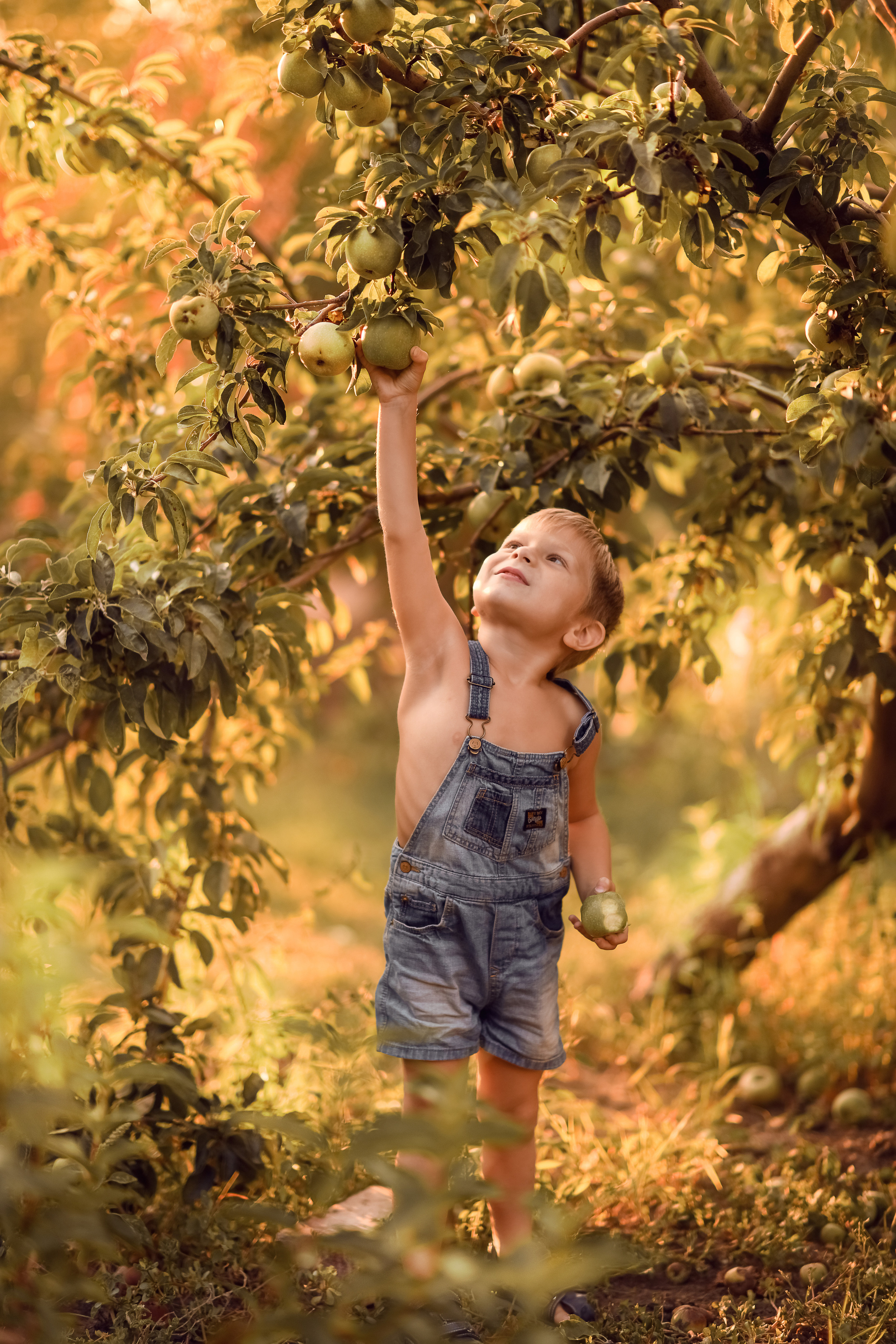 Яблочный сад. Семейный, детский фотограф в Ростове-на-Дону Совенко Юлия