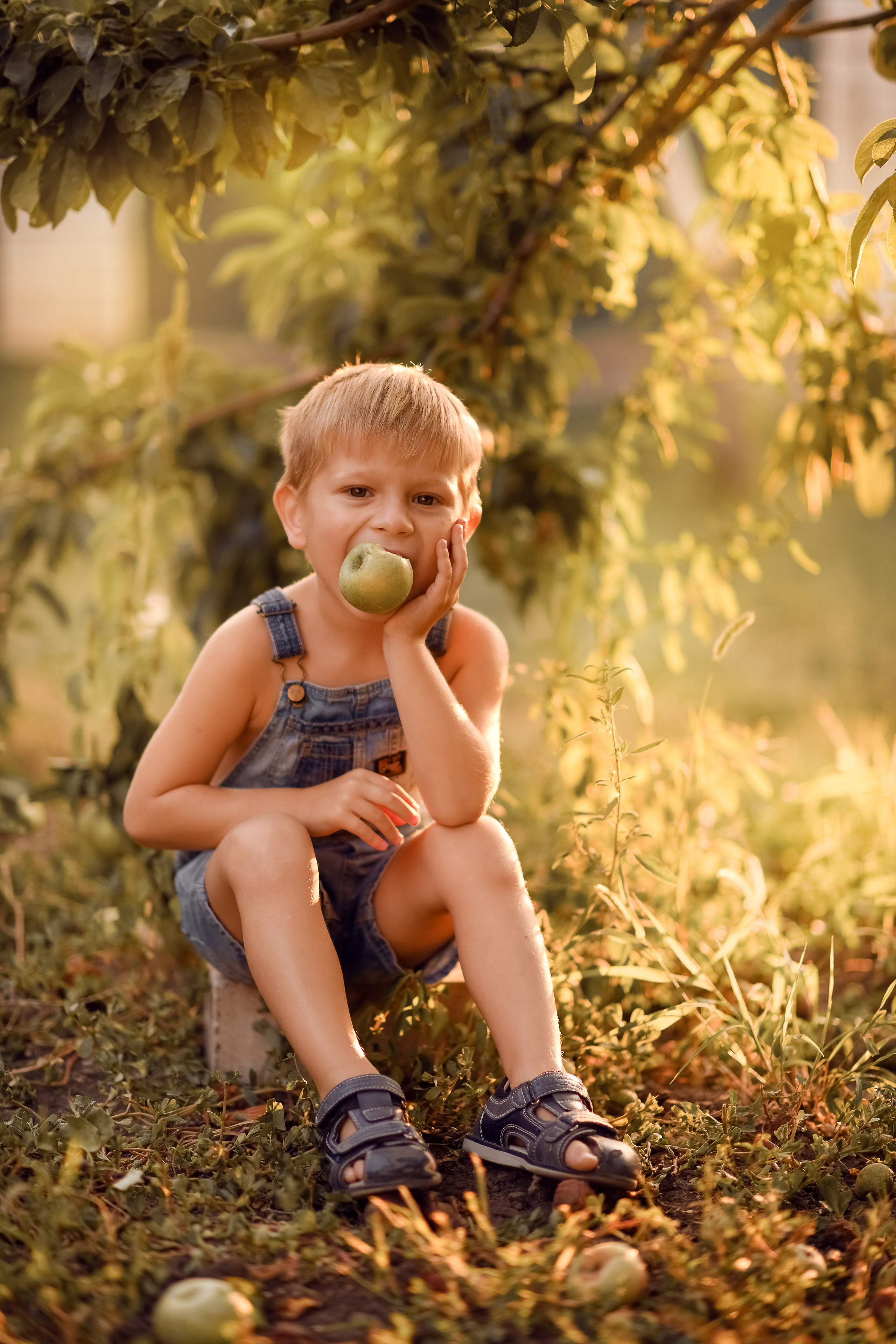 Яблочный сад. Семейный, детский фотограф в Ростове-на-Дону Совенко Юлия