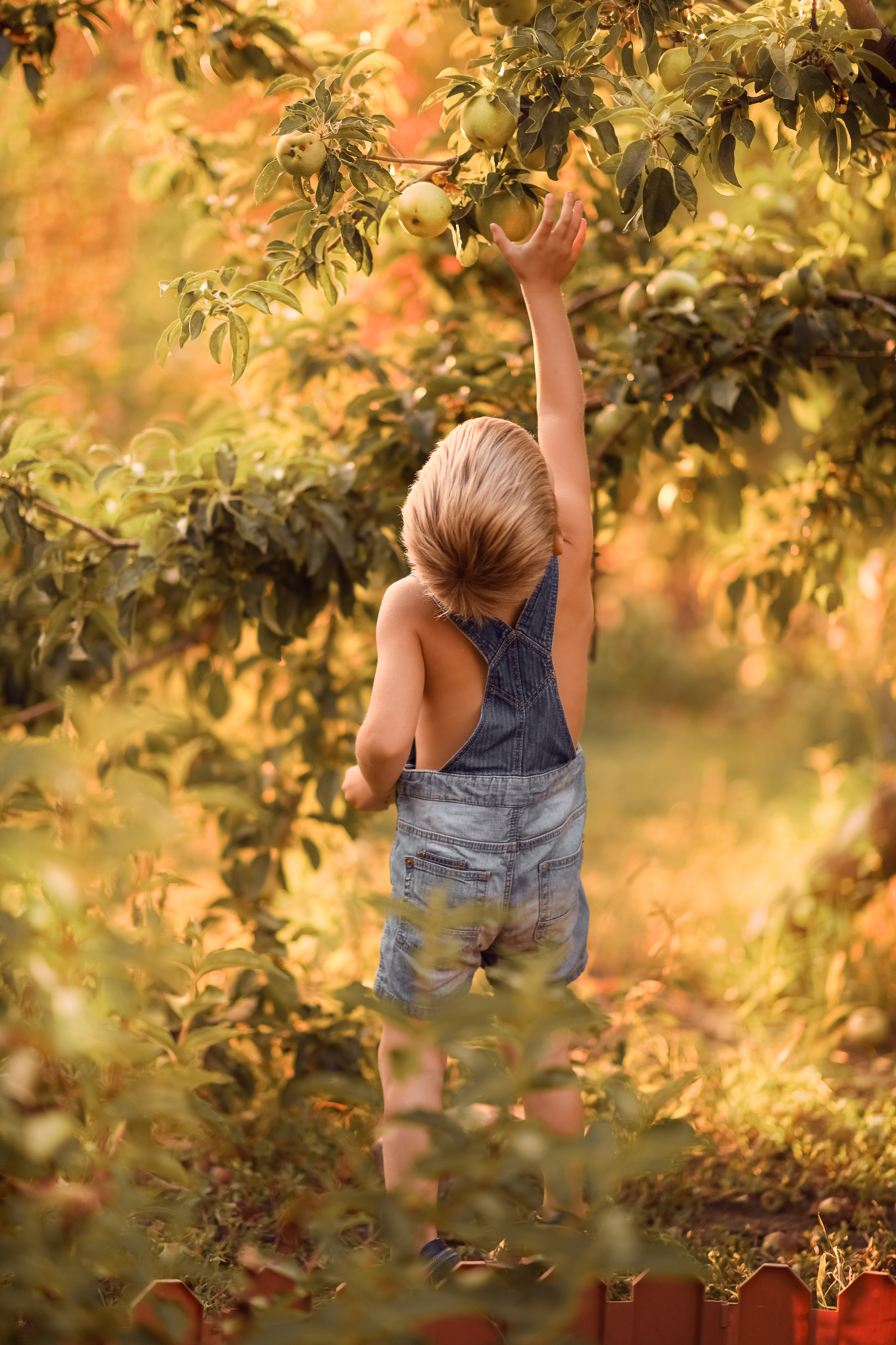 Яблочный сад. Семейный, детский фотограф в Ростове-на-Дону Совенко Юлия