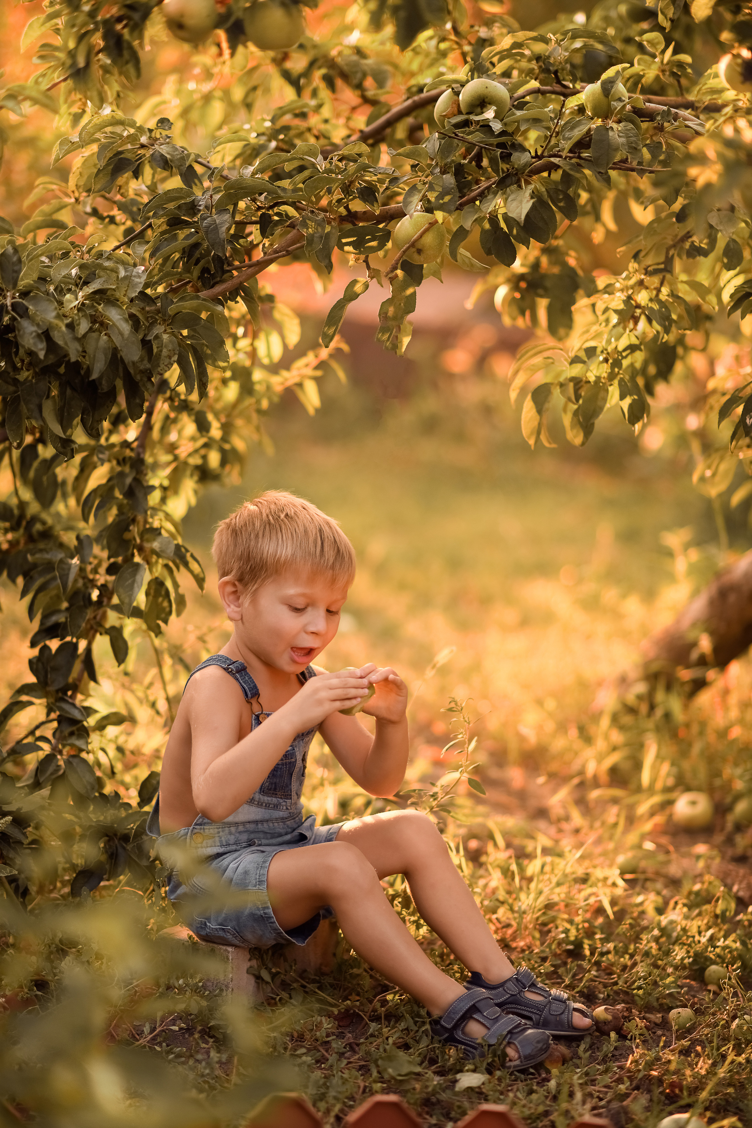 Яблочный сад. Семейный, детский фотограф в Ростове-на-Дону Совенко Юлия