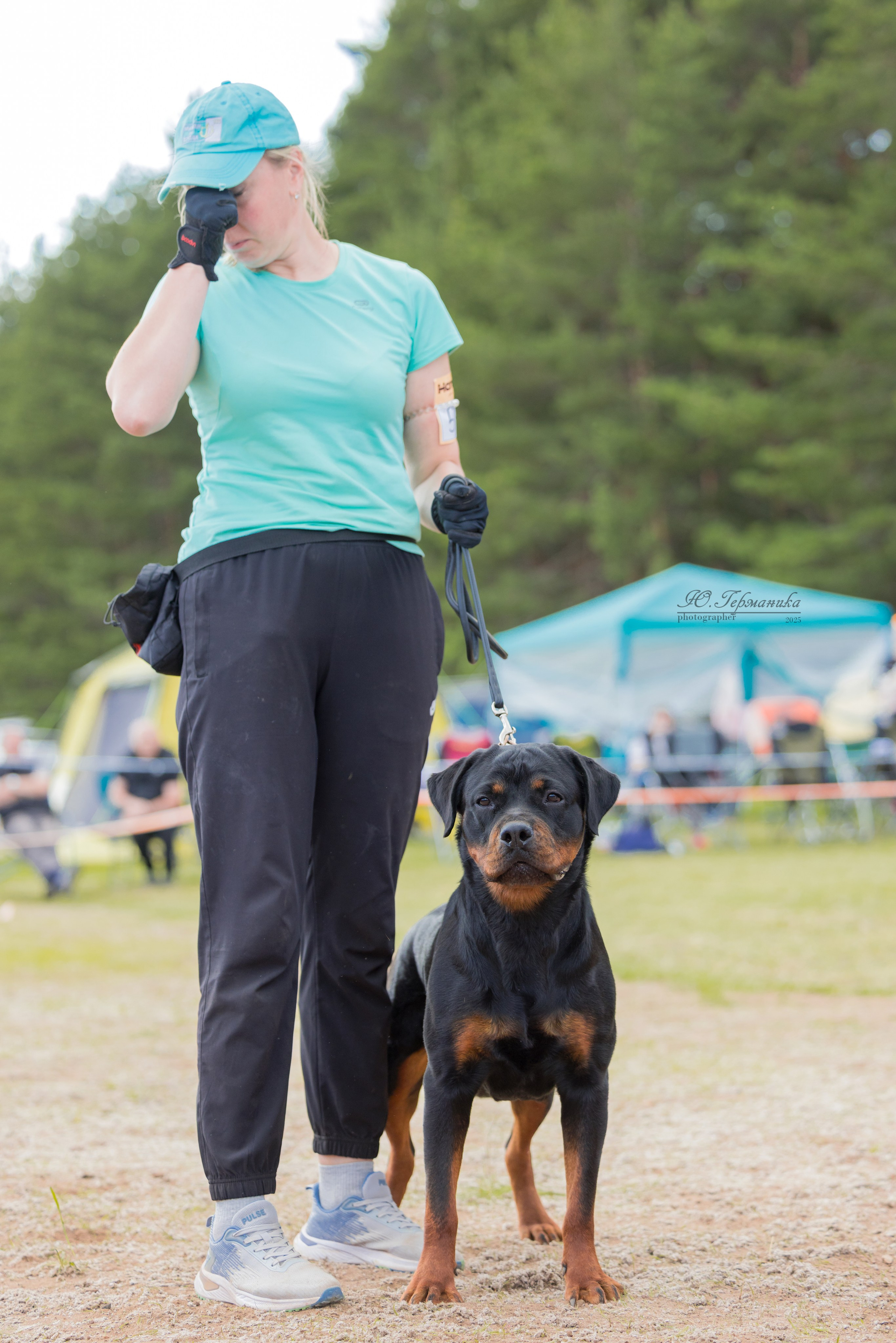 Тверь ротвейлеры 5-6.07.2025. Фотограф-анималист Юлия Германика