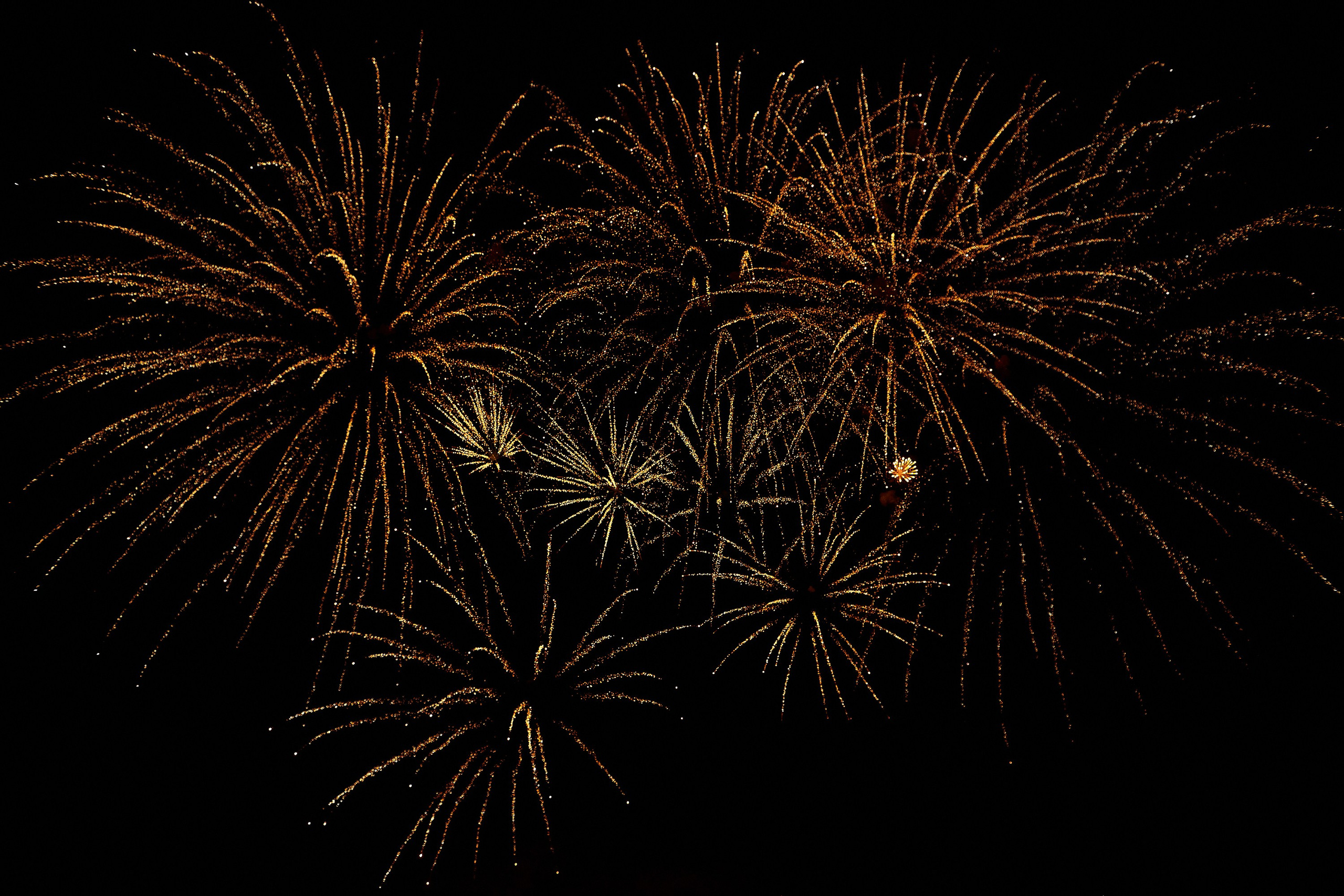 Корпоративный фотограф в Москве