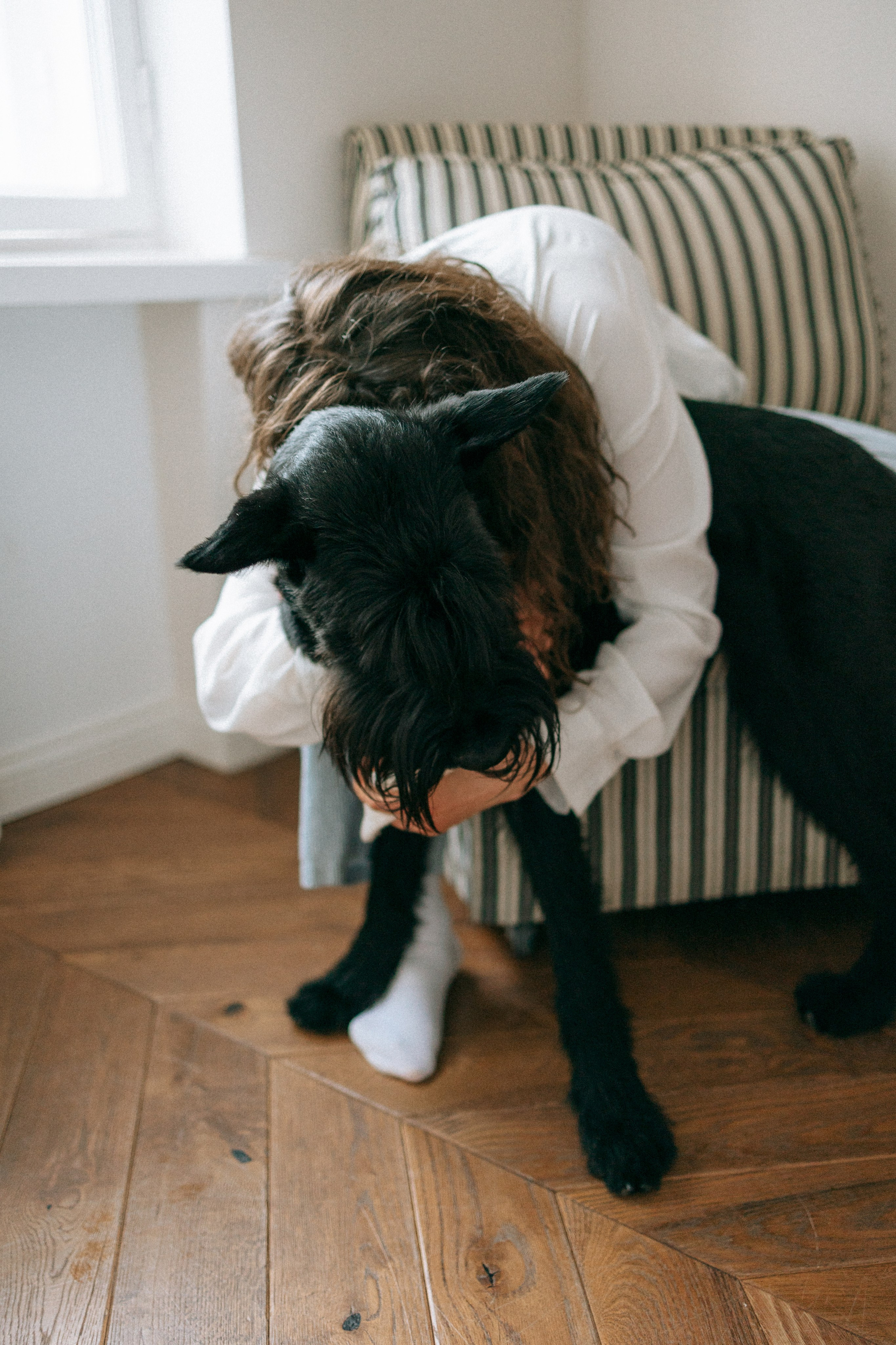 Умбра и Даша. Фотограф анималист Анастасия Пикей