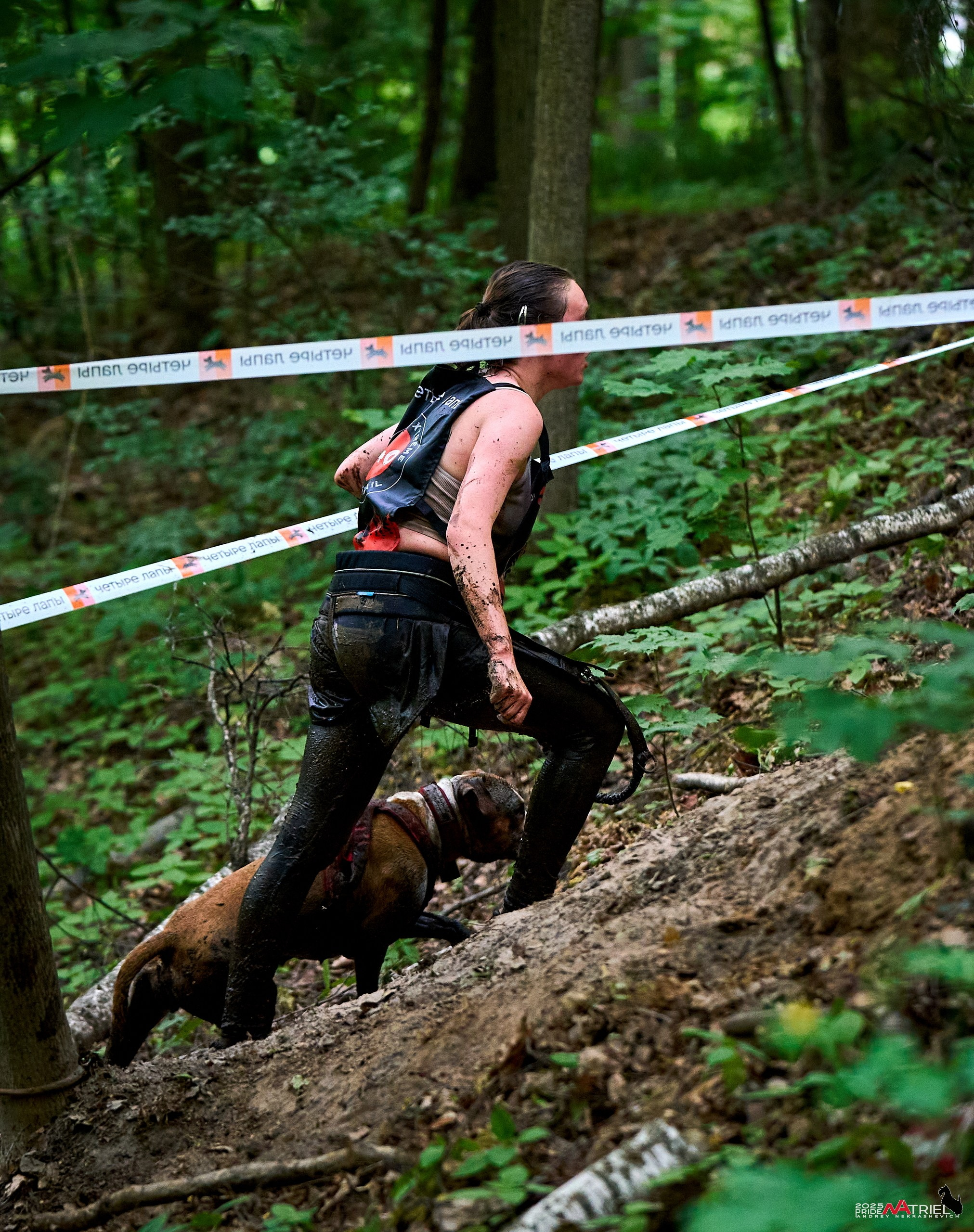Russian Extreme Dog Trail — 2025