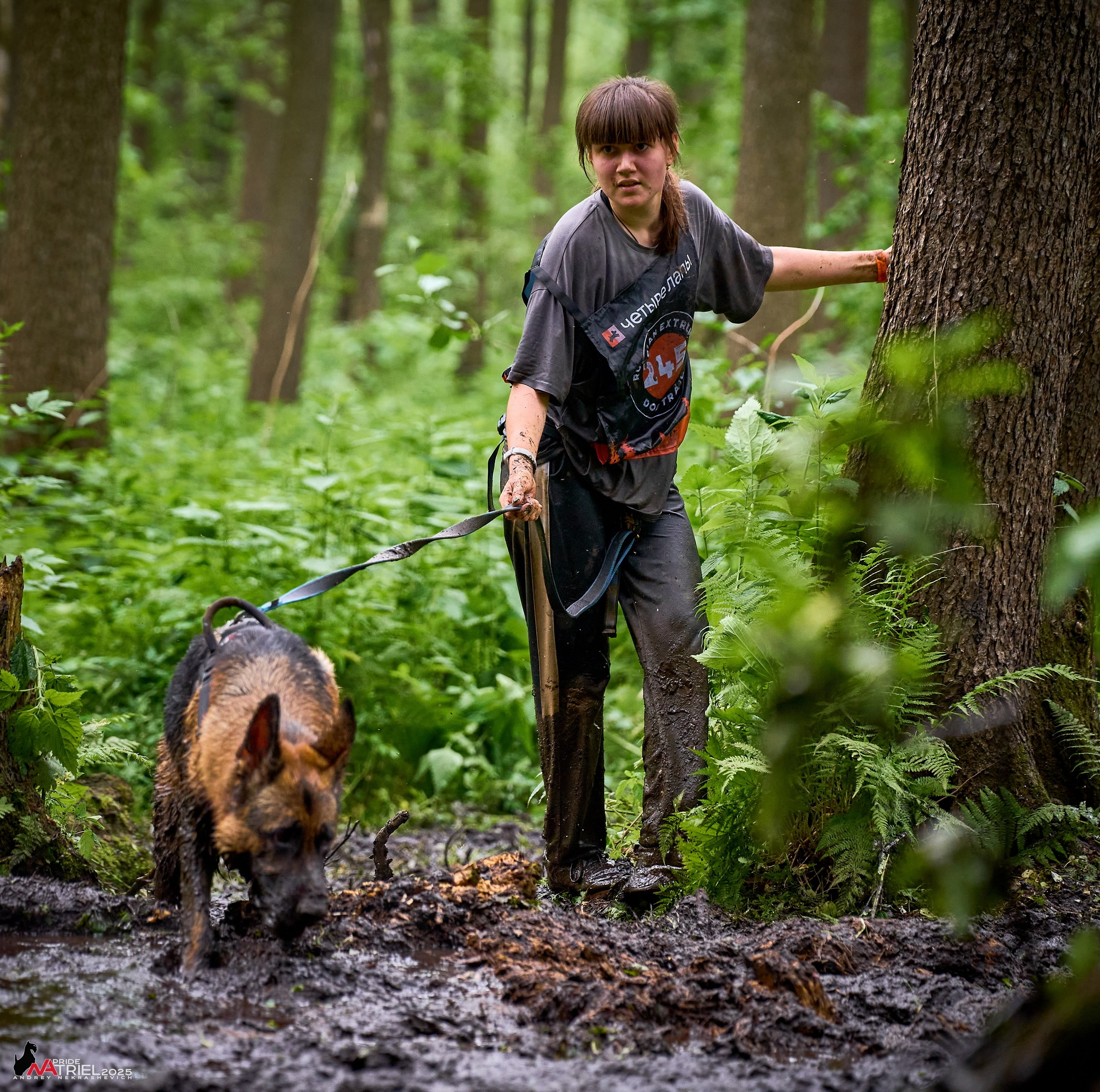 Russian Extreme Dog Trail — 2025