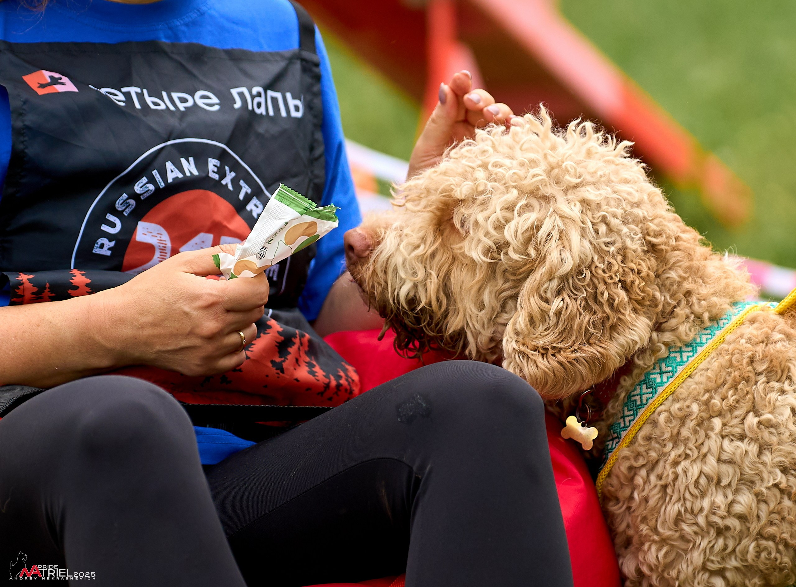 Russian Extreme Dog Trail — 2025