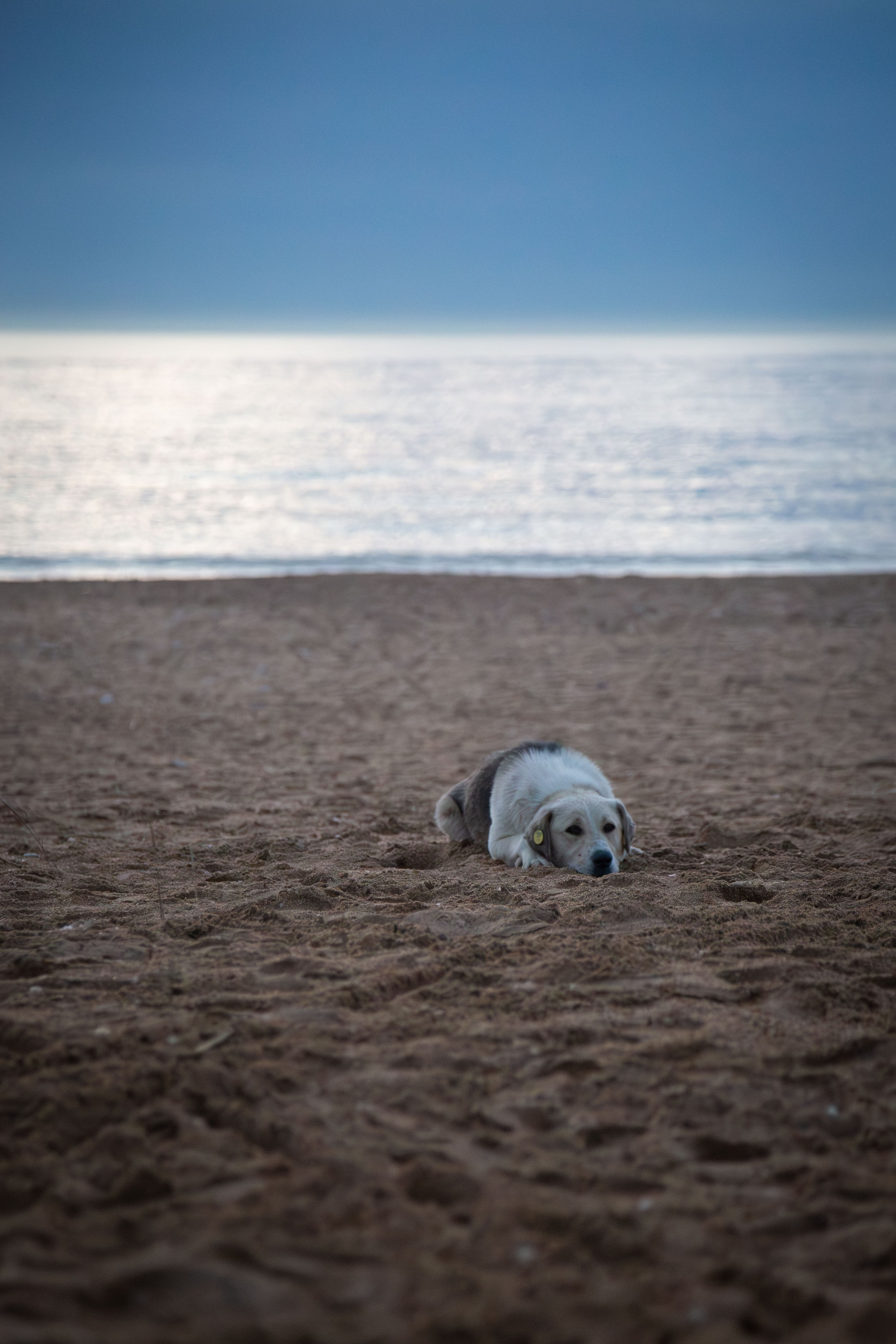 Рассвет. Dmitriy [KCCC] is a pretty cool photographer