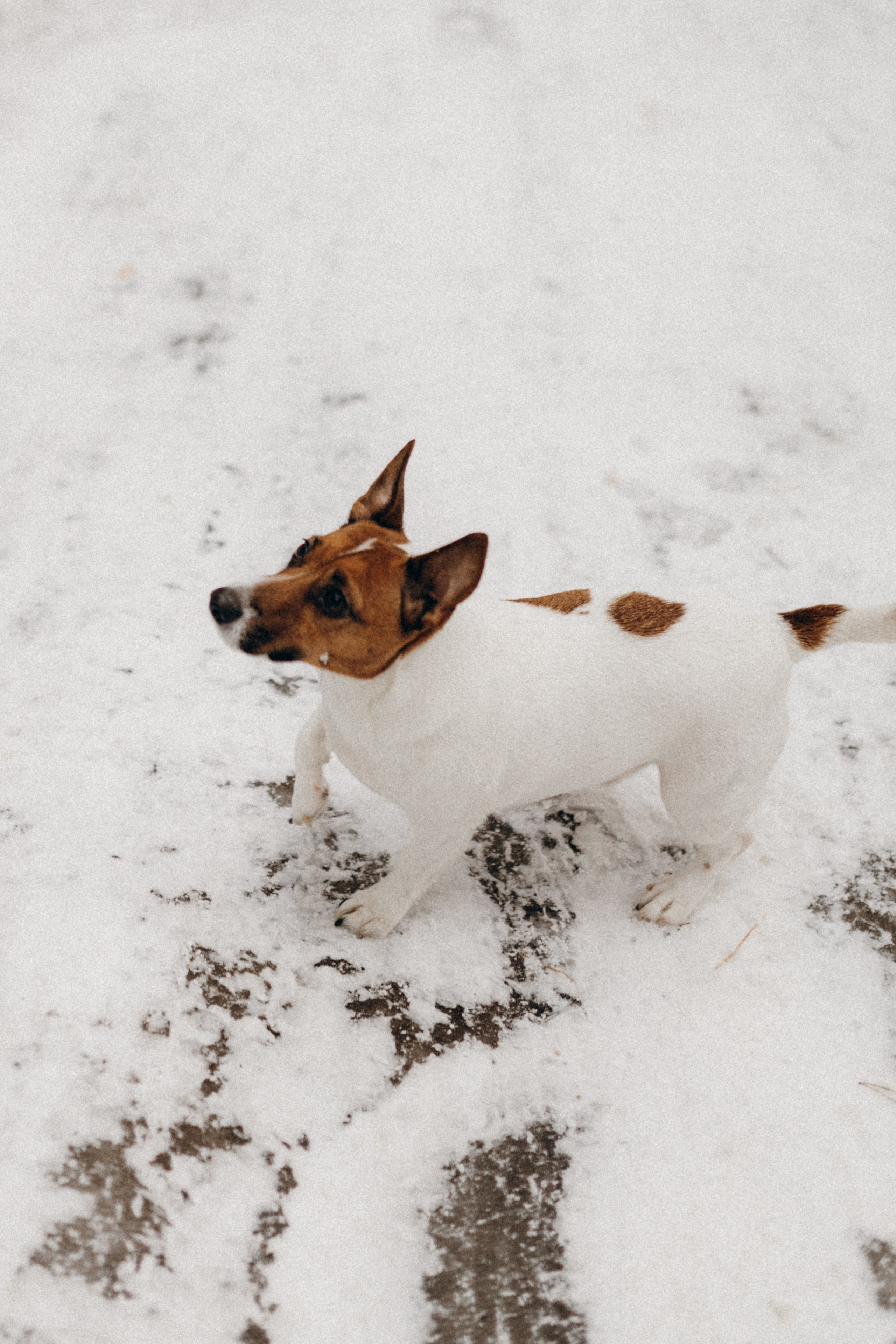 Настя & Надежда. Фотограф НОГИНСК, Москва, Анастасия Белая
