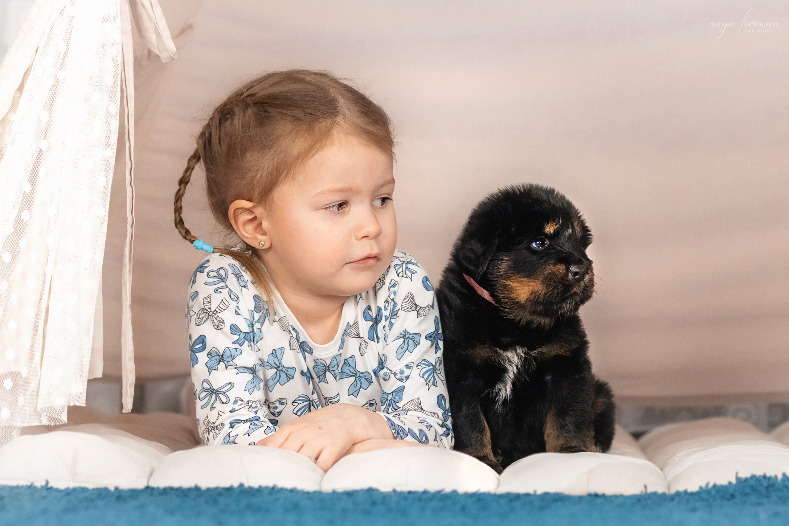 Тибеты. Фотограф анималист Аня Ливанова | Рыбинск