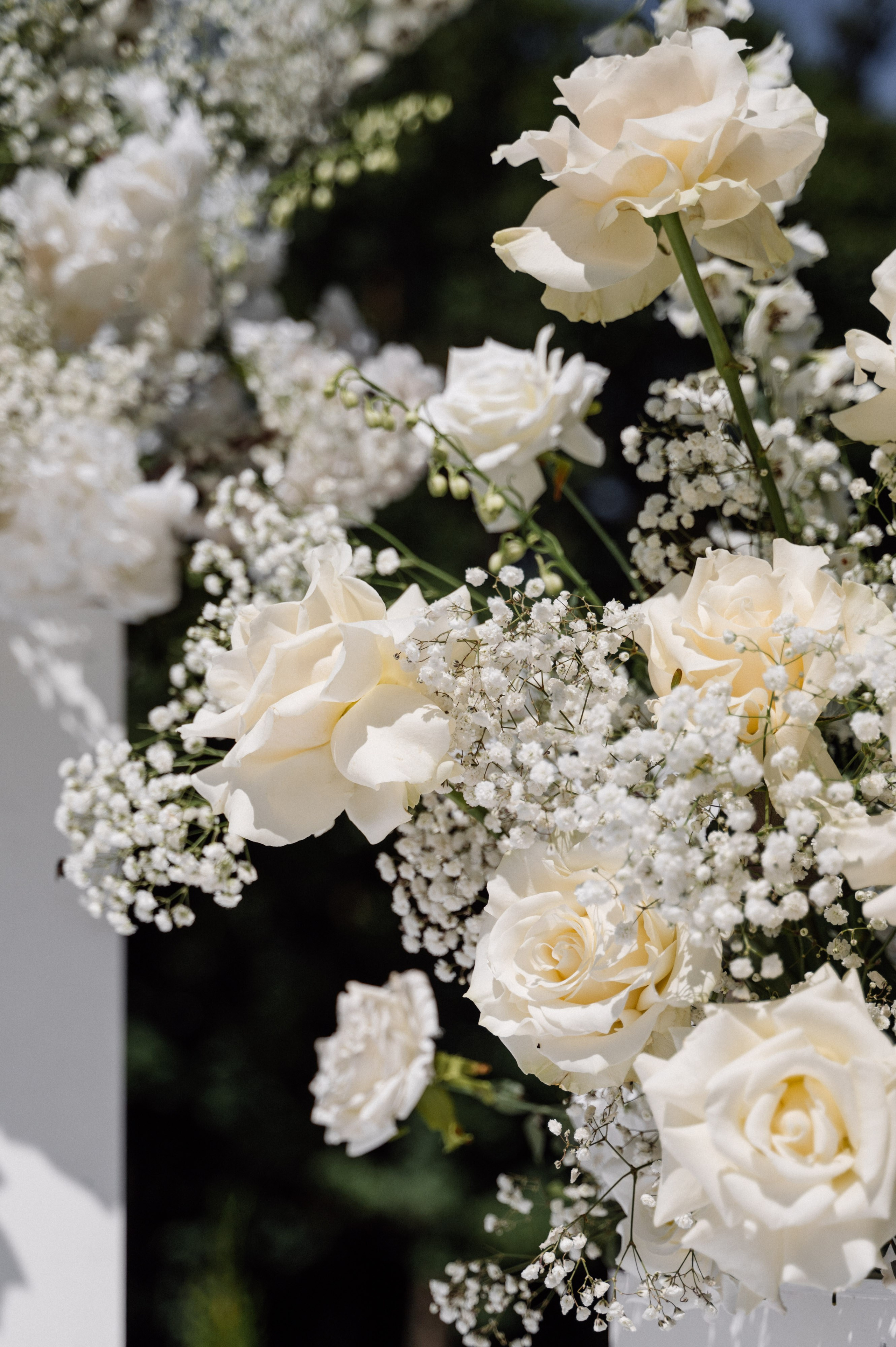 Петя и Вероника. Свадебный фотограф Минск