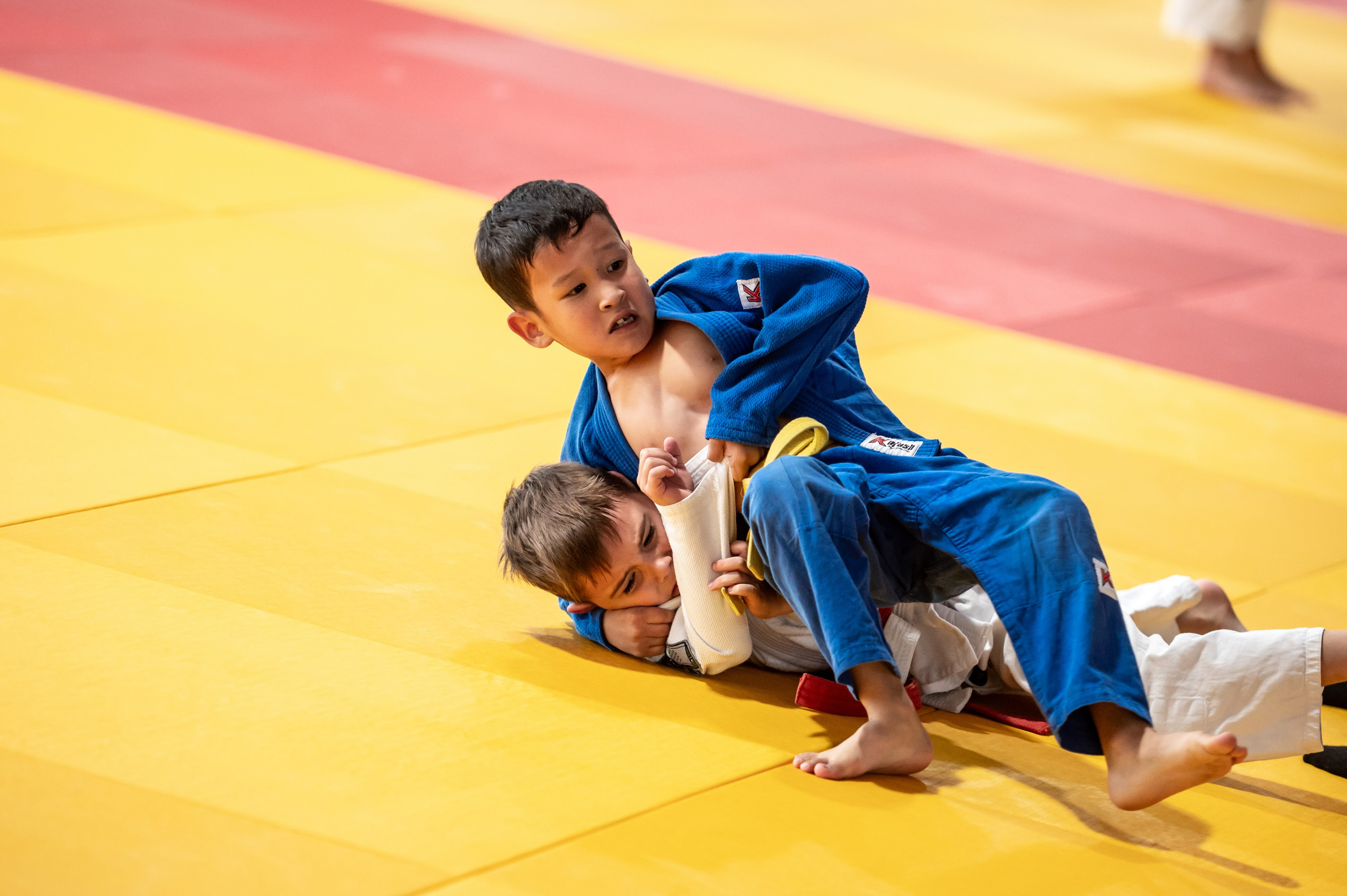 Турнир по дзюдо «Тульский левша», сентябрь 2024. Спортивный фотограф в Туле и Тульской области. Файсханова Фото Спорт