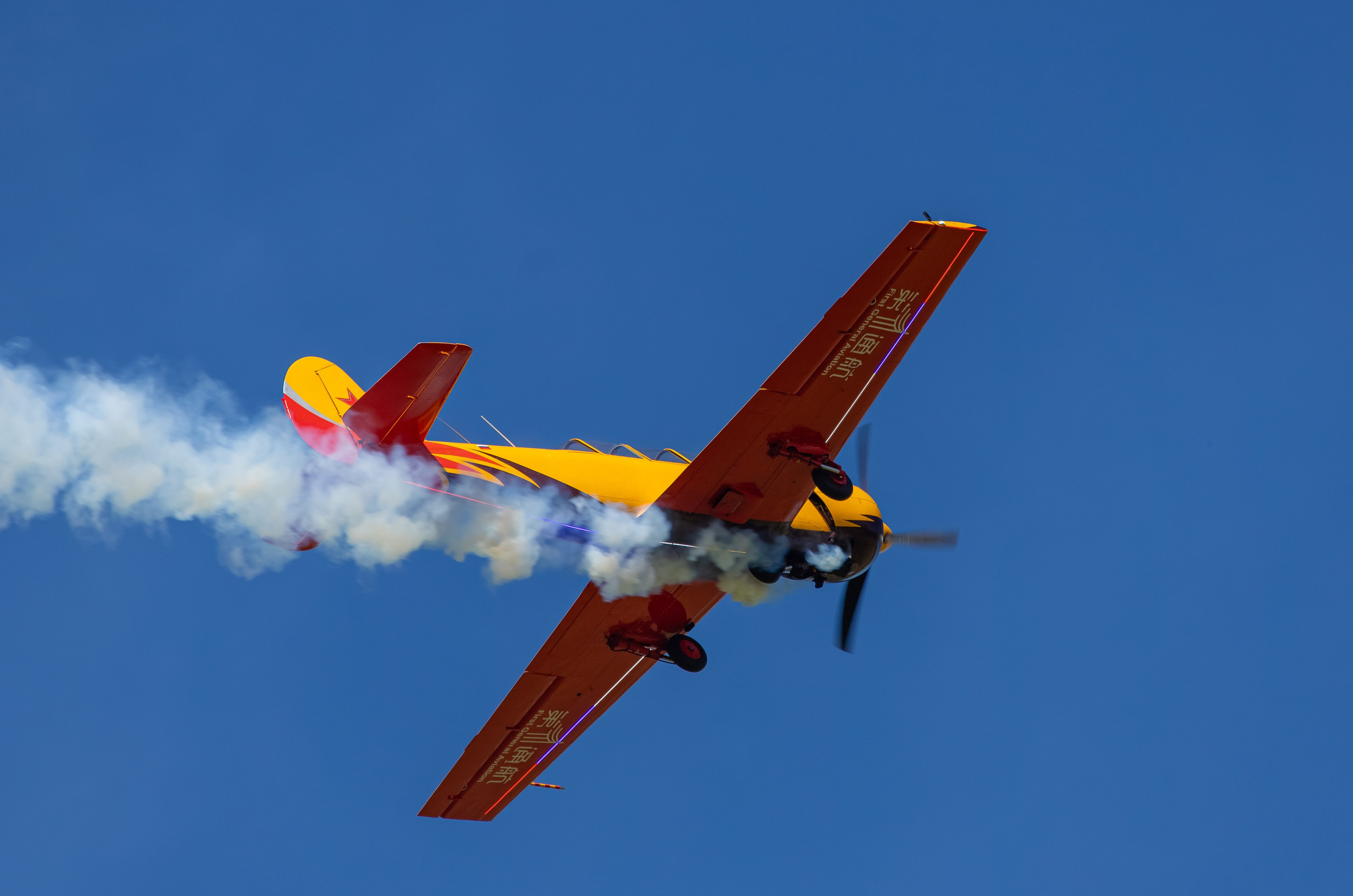 Крылья Пармы 2025 г. KATERINA VINOKUROVA ФОТОГРАФ ПЕРМЬ