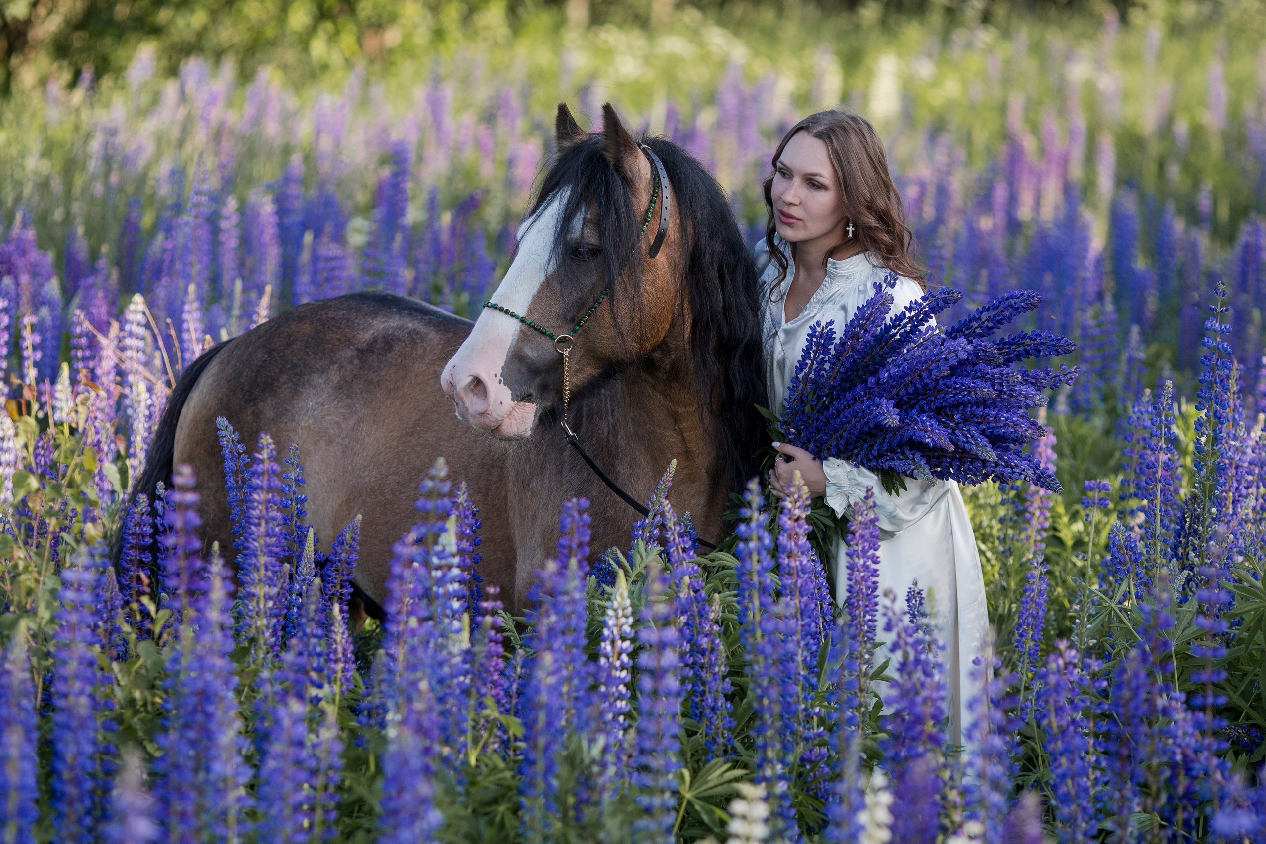 Фотосессия в люпинах с лошадью