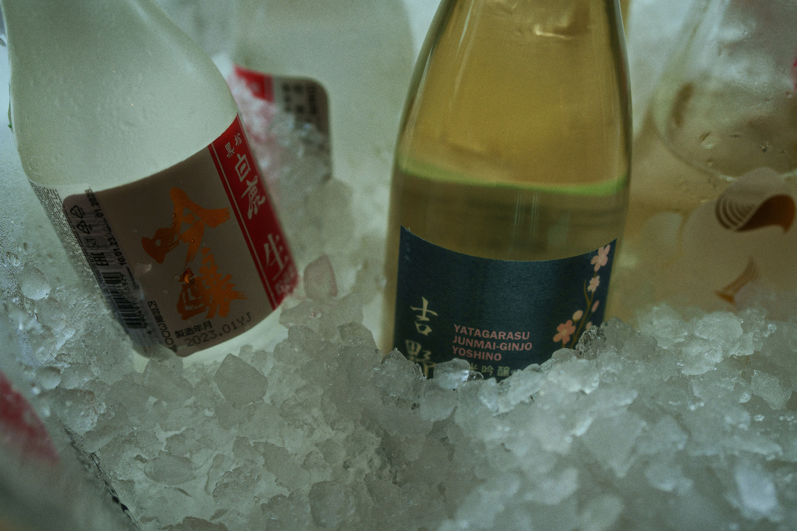 Ryotei x kudo. Фотограф Юрин Евгений