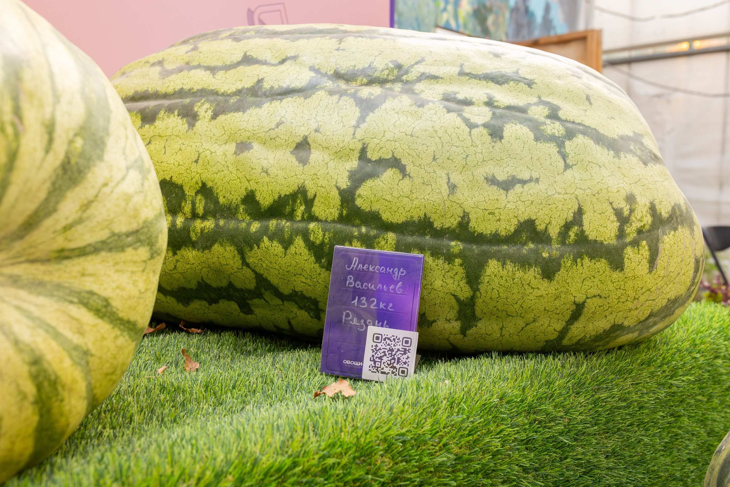 Овощи-гиганты. Александра Куликова фотограф, Москва