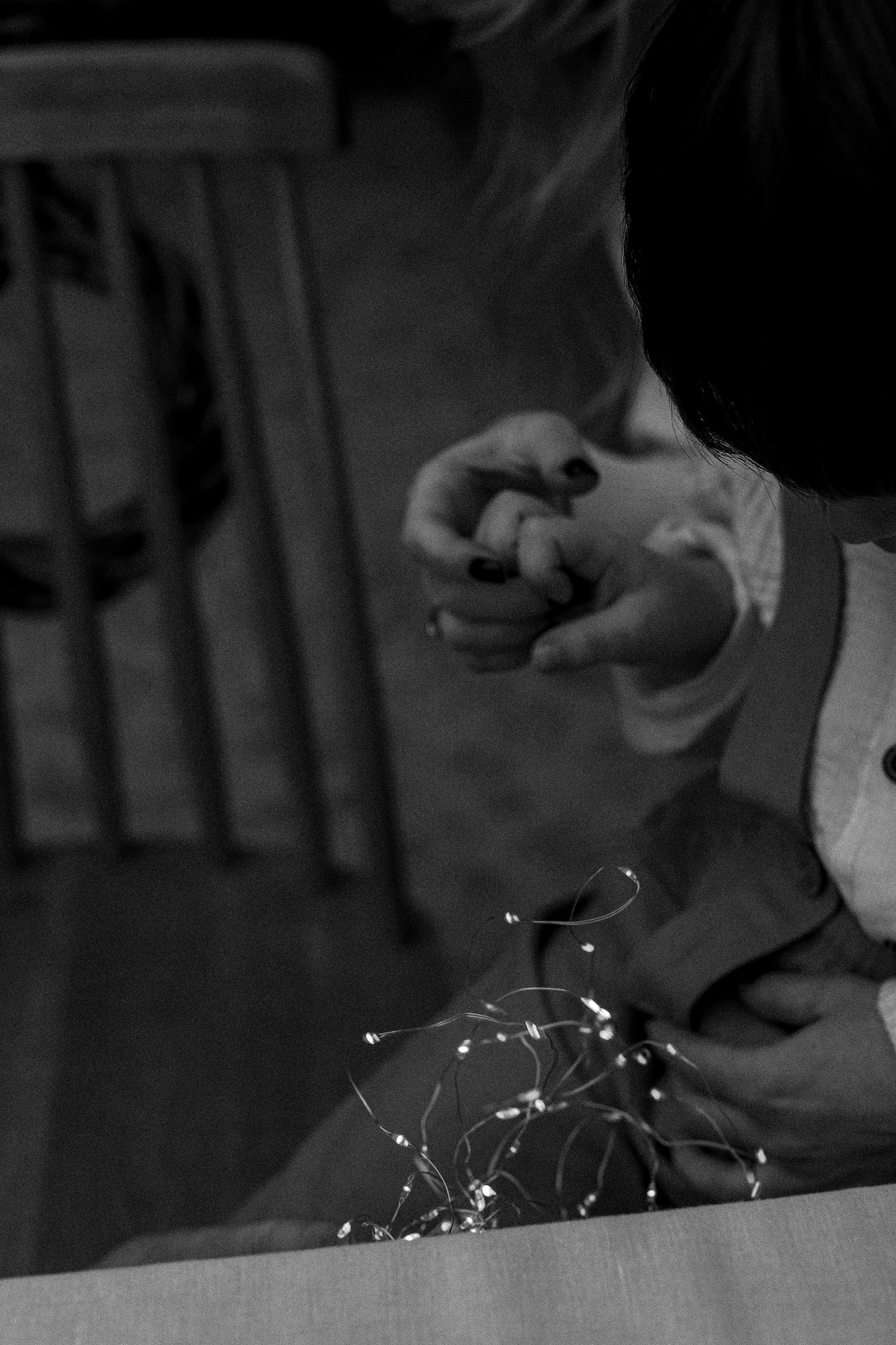 Поле. Ilopavlova_ph