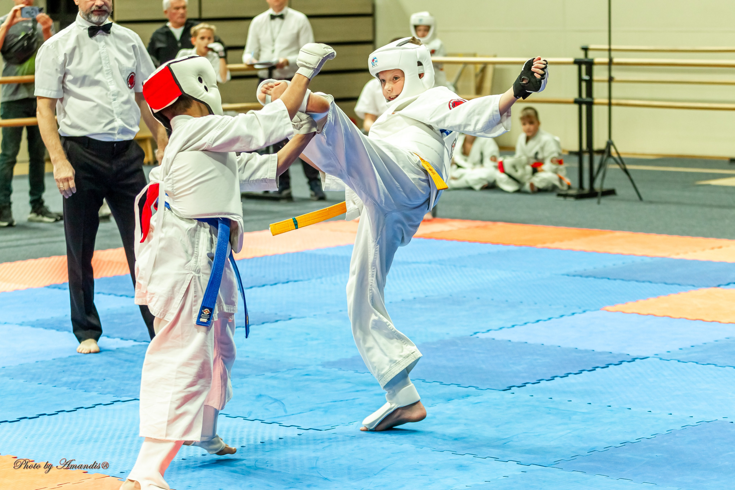 Первенство Московской области по Киокушин в СК «Жаворонки». Репортажная съемка в Москве и области. Анималистика