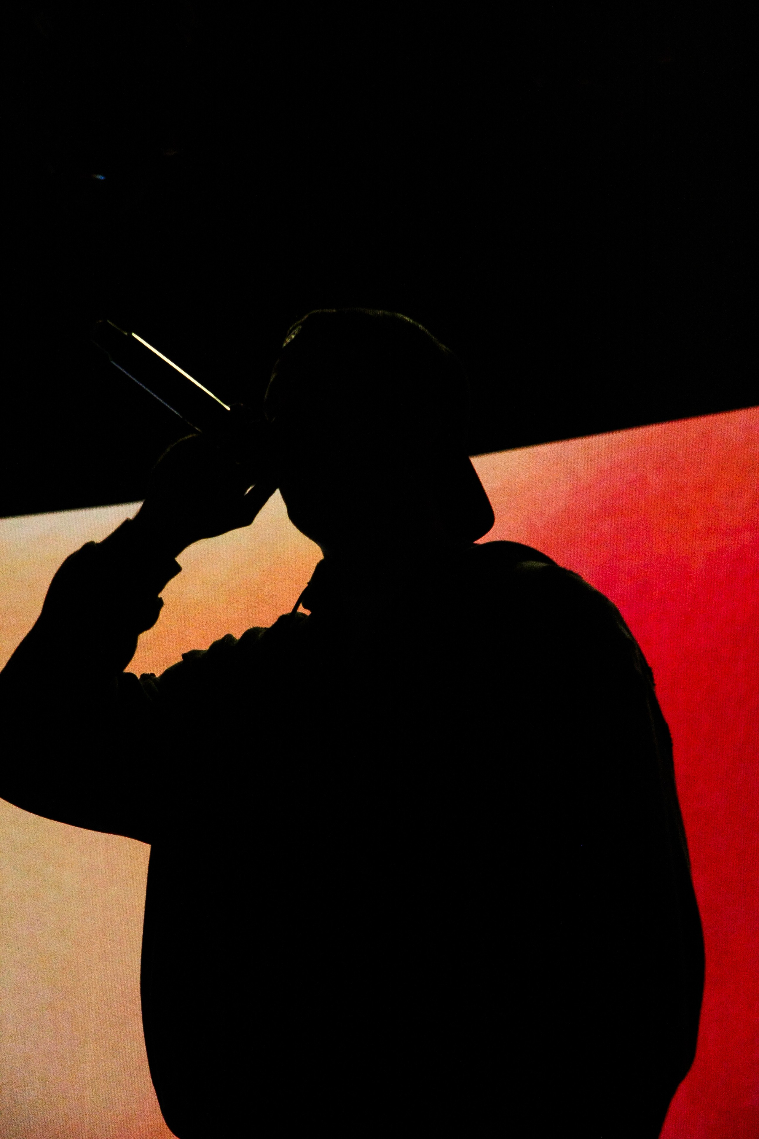 Концерты. Фотограф Романенкова Дарья Санкт-Петербург