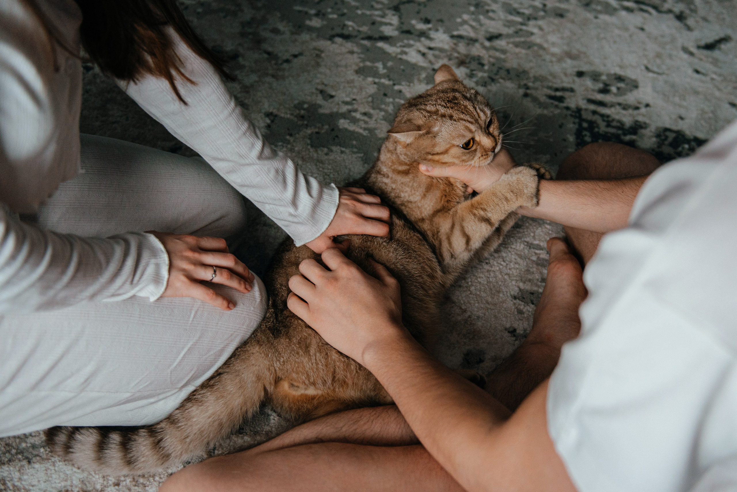 Данил и Кристина. Свадебный фотограф Марина Жемчужникова в Москве и в Белгороде