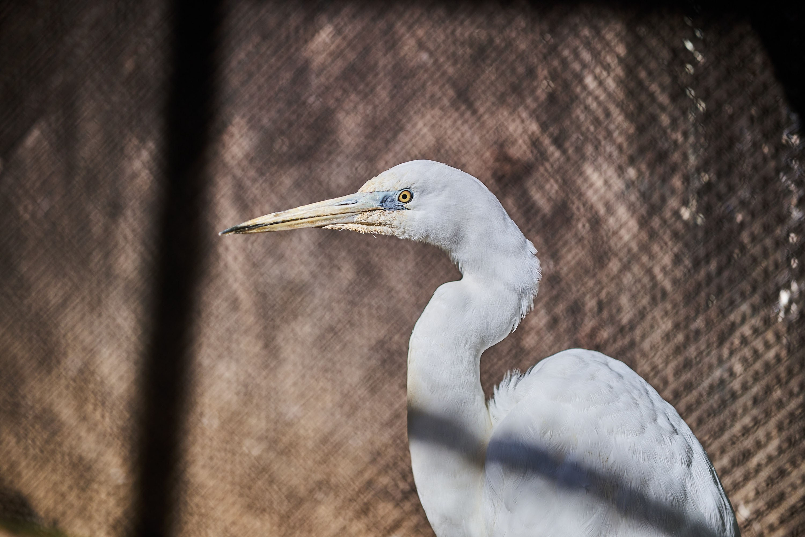 Зоопарк Иваново. Фотограф в Иваново: Каталожная съемка одежды и постельного белья, Wildberries