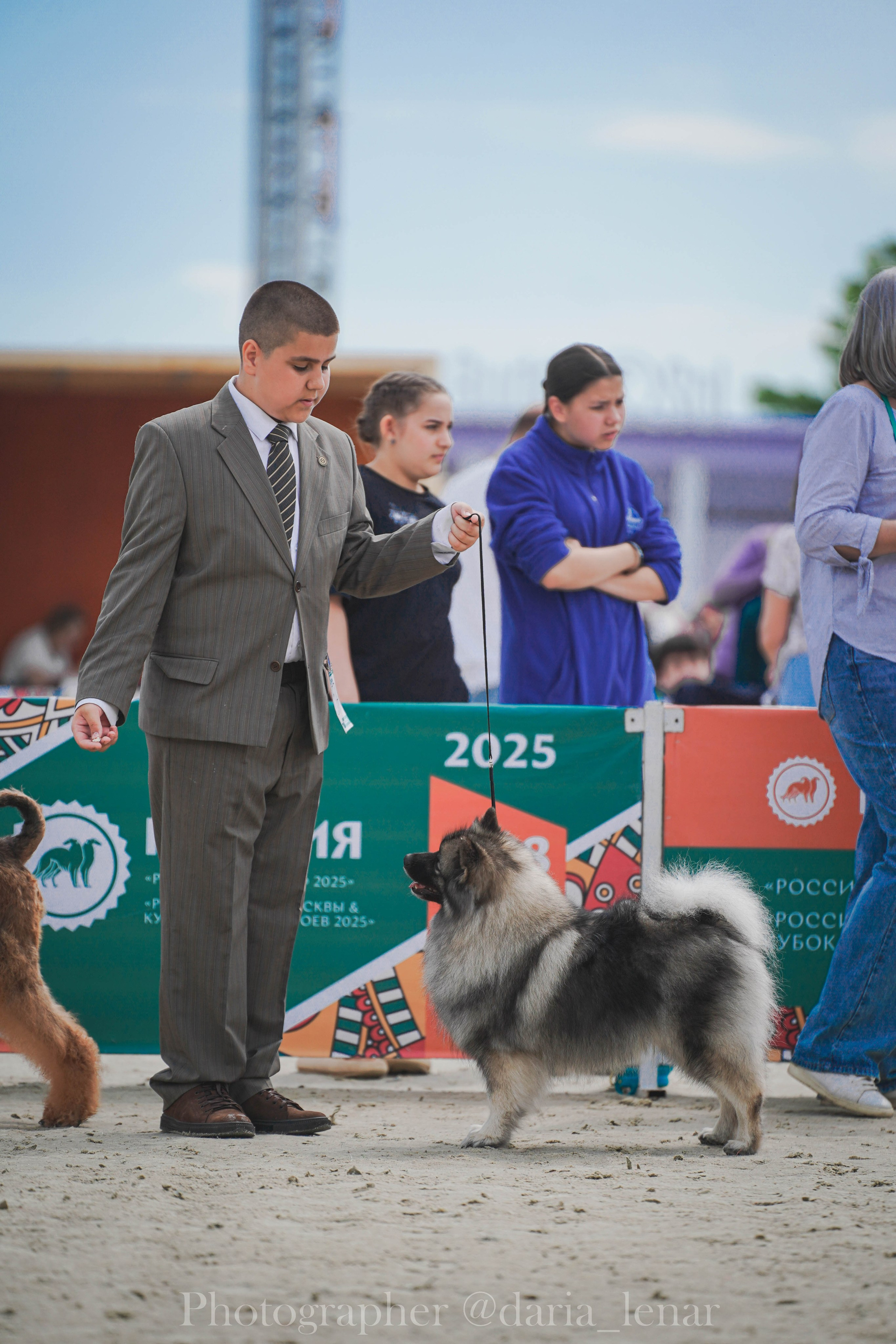 Выставки собак. Фотограф в Москве Ленарская Дарья