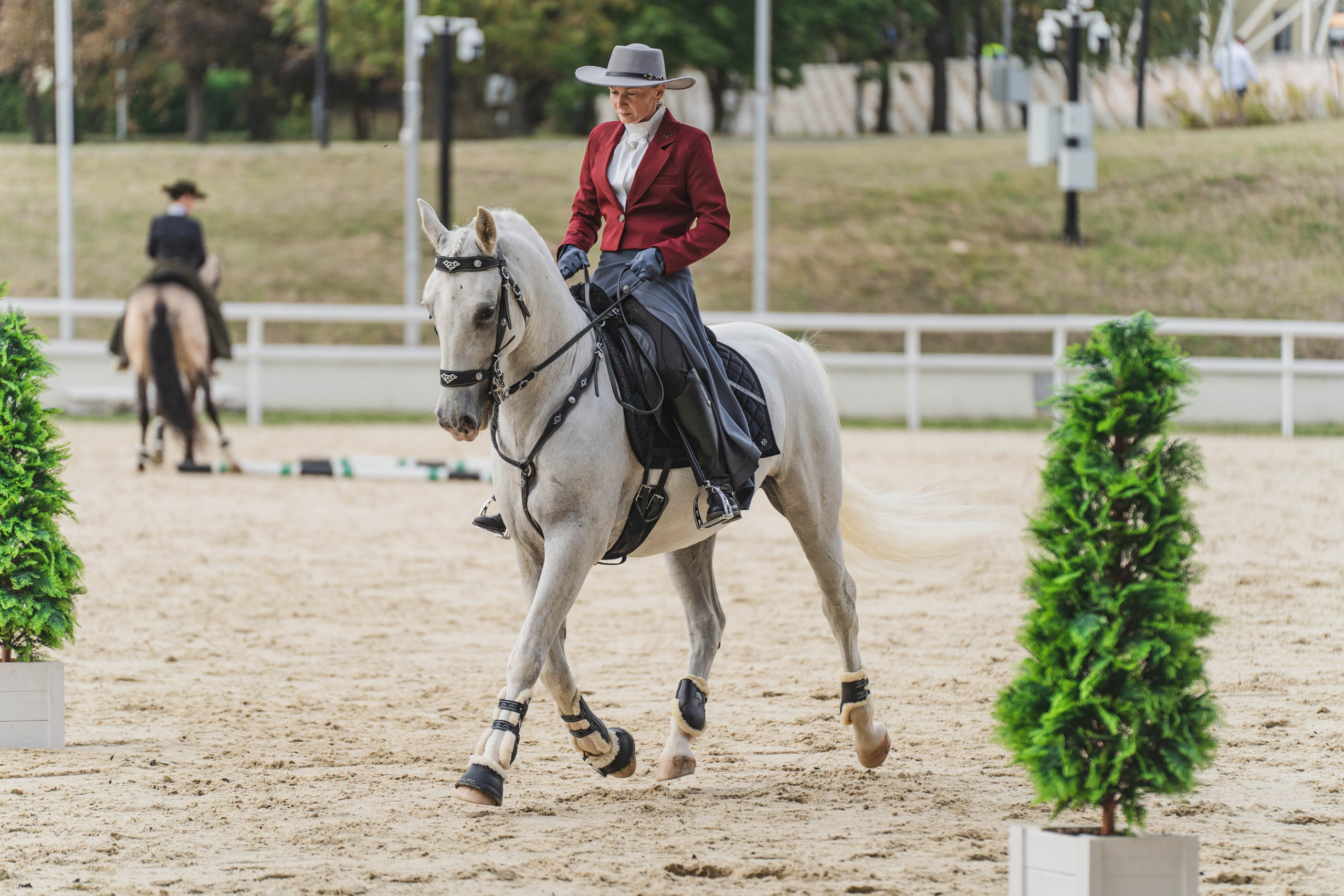 Мастер-класс по рабочей выездке. Фотограф в Москве Ленарская Дарья